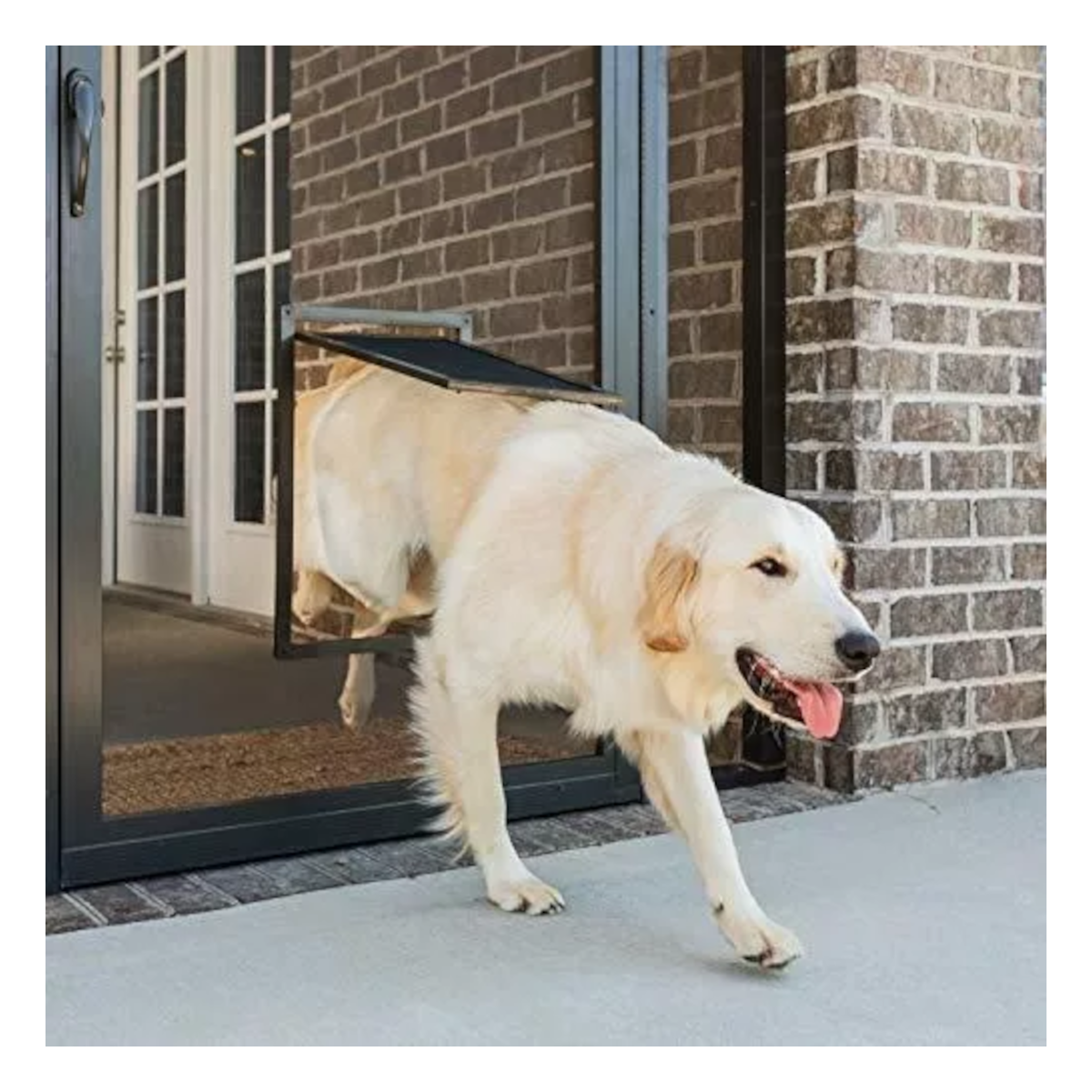Puerta Grande Abatible para Mascota Perro Gato Empotrable en Puerta de Malla Mosquitero 