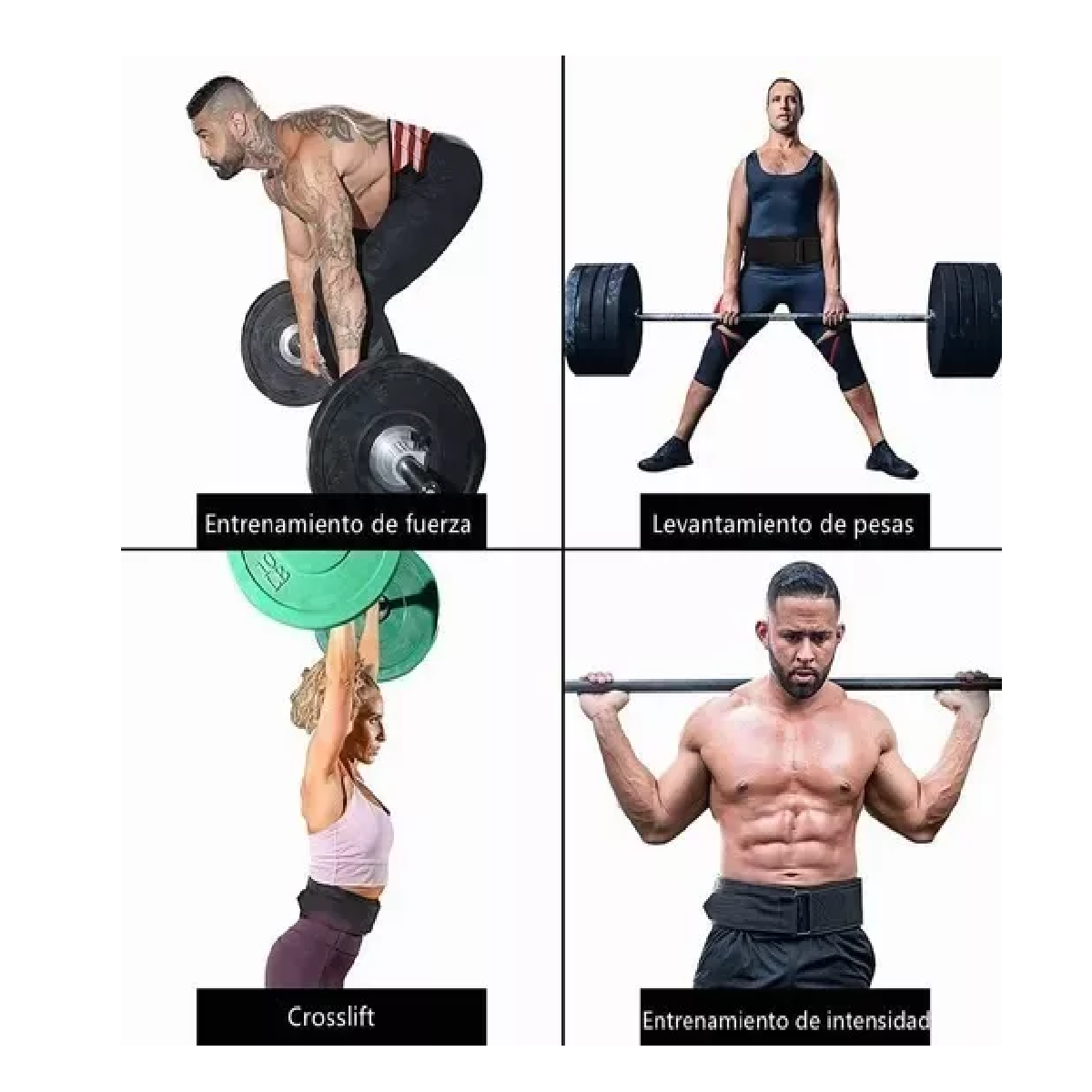 Cinturón Gimnasio Pesas Crossfit Lesión Lumbar L