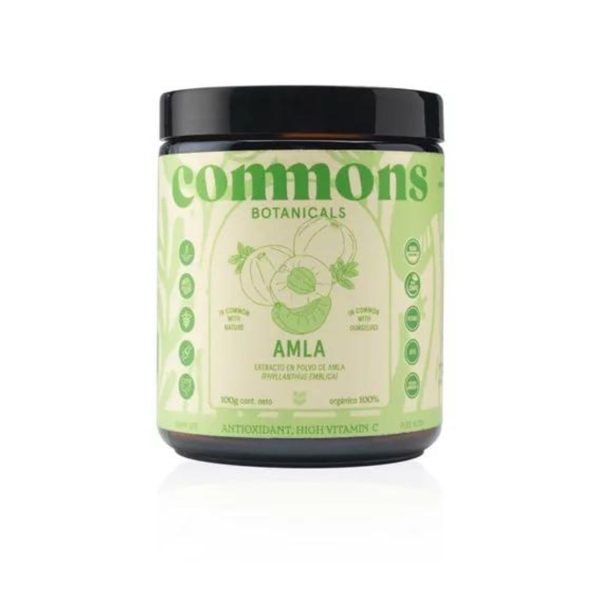 Amla Polvo Adaptógeno 100g Commons 100% Orgánico 