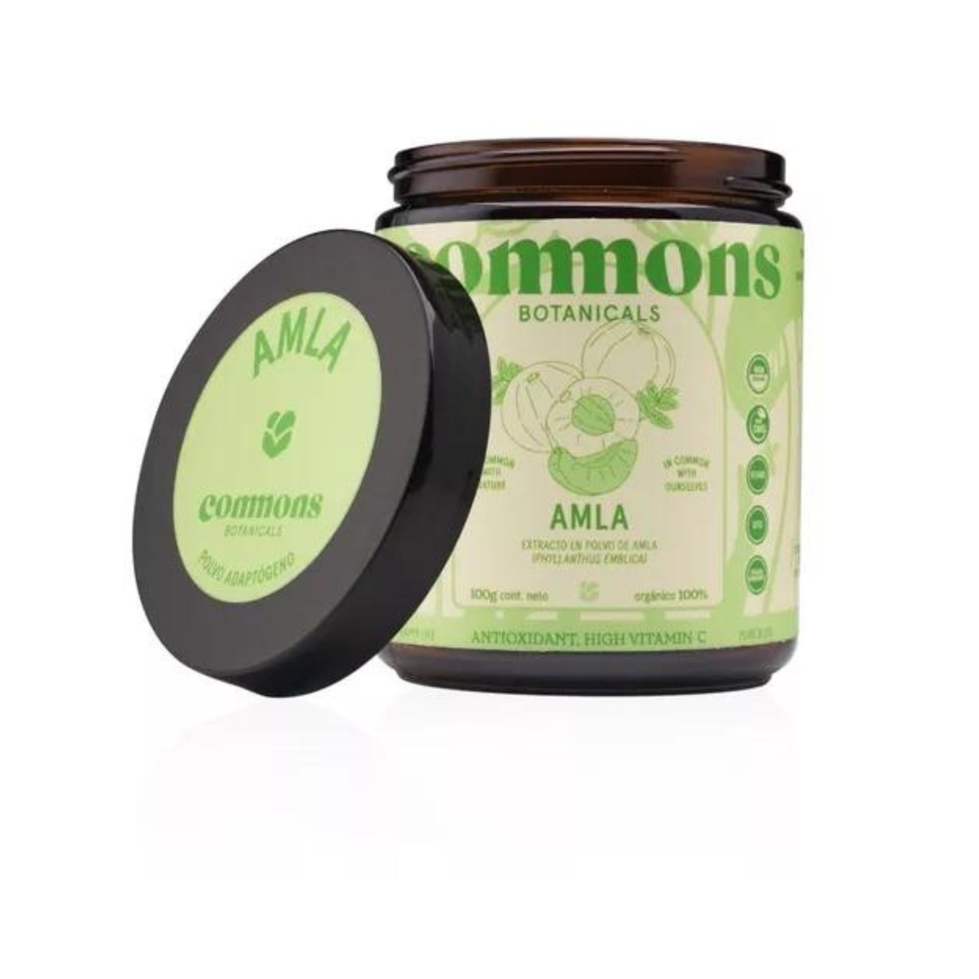 Amla Polvo Adaptógeno 100g Commons 100% Orgánico 