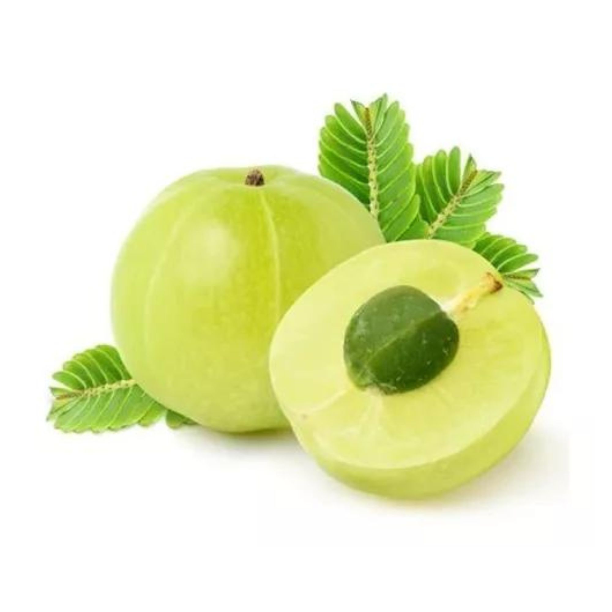 Amla Polvo Adaptógeno 100g Commons 100% Orgánico 