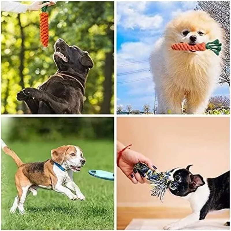 Juguetes De Cuerda Para Perro Morder 12 Pz Masticar Cachorro