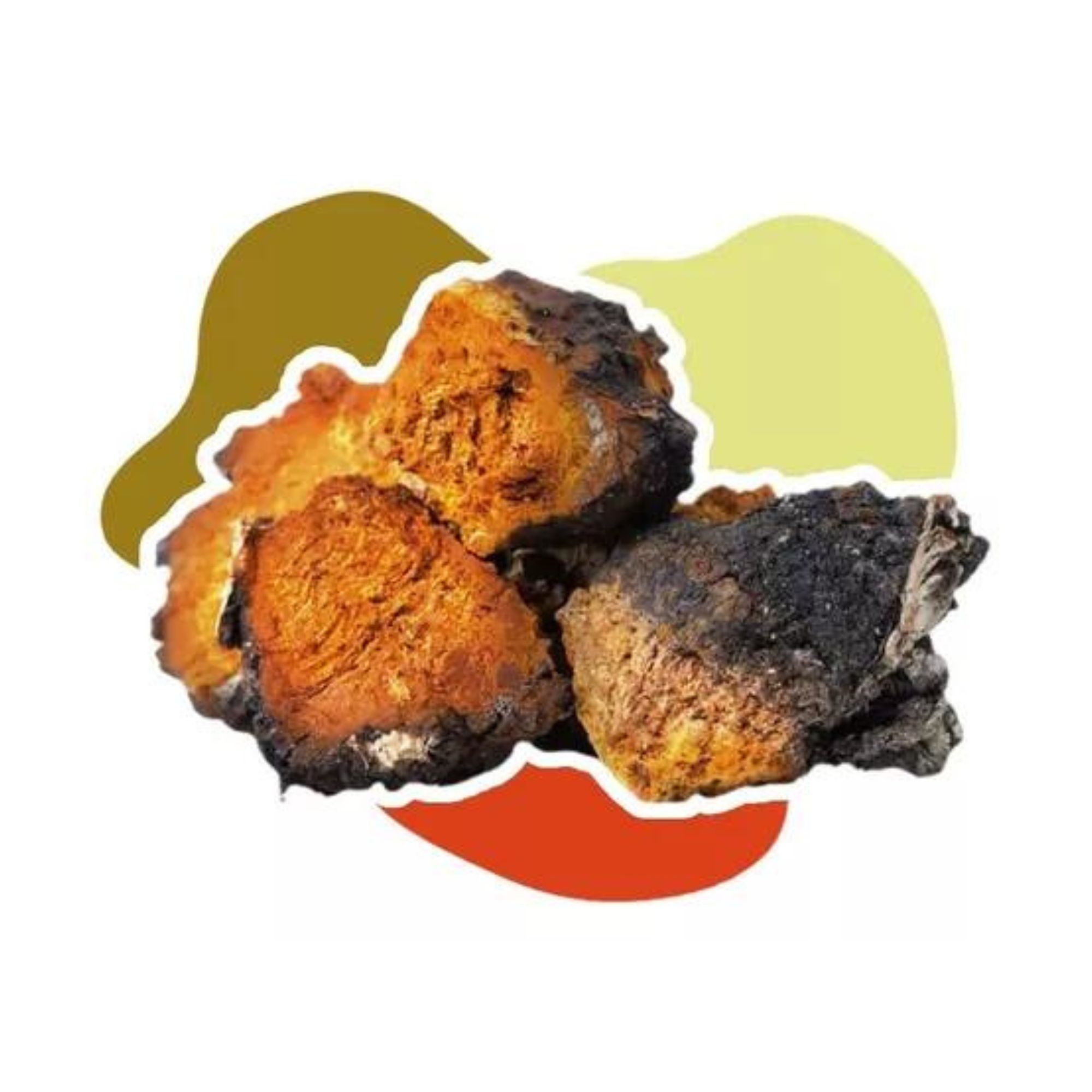 Hongo Adaptógeno Chaga Polvo Orgánico 60g Commons 