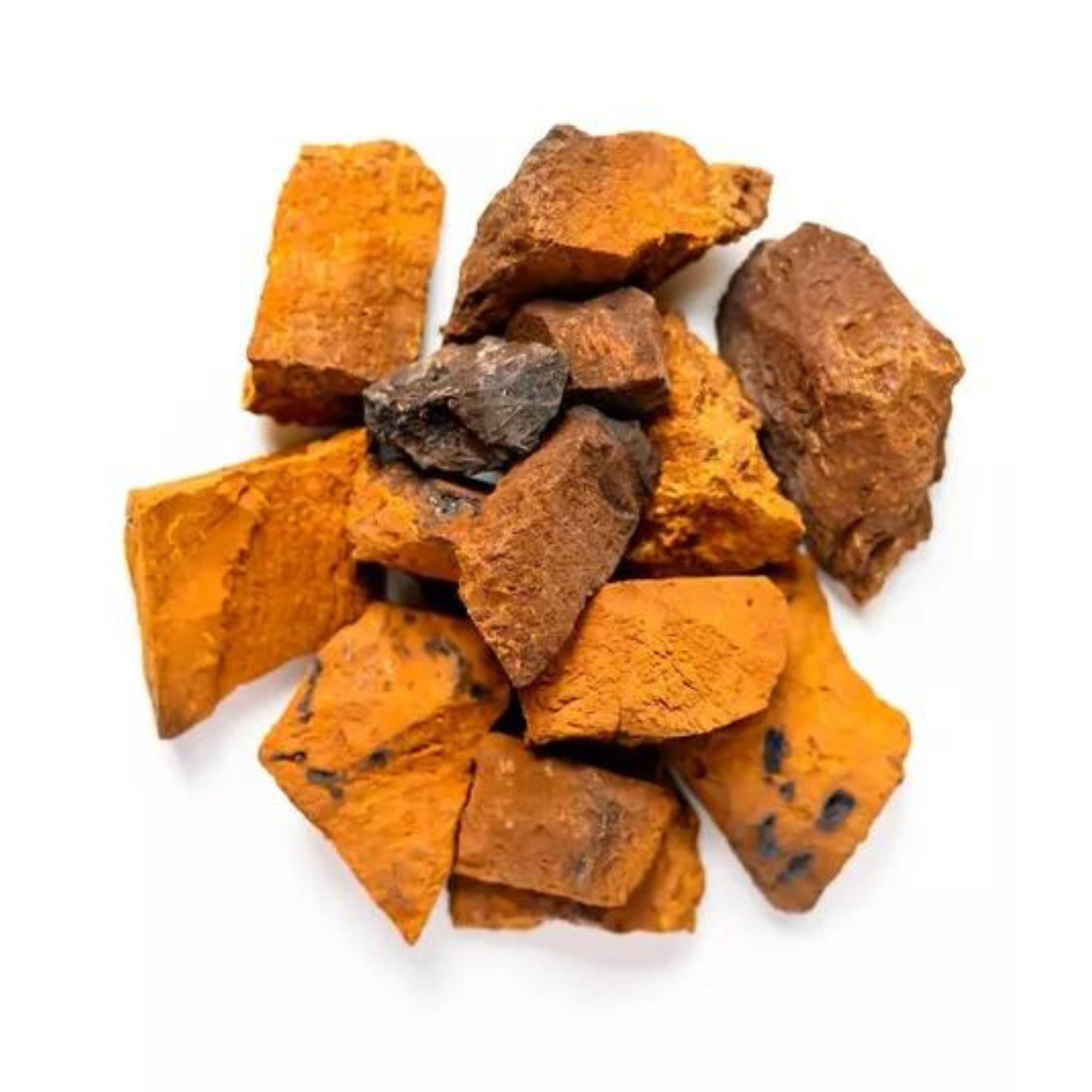 Hongo Adaptógeno Chaga Polvo Orgánico 60g Commons 