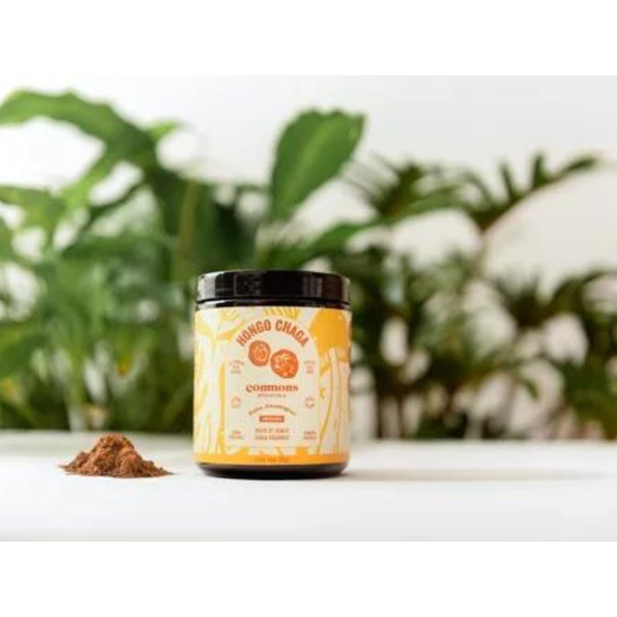 Hongo Adaptógeno Chaga Polvo Orgánico 60g Commons 