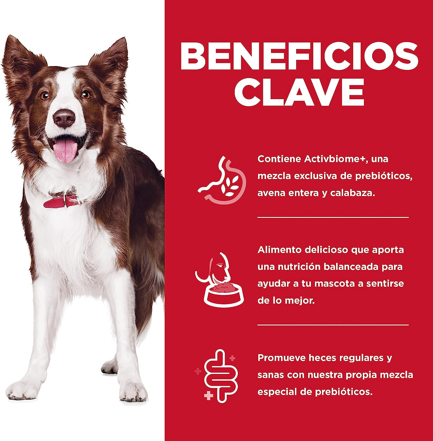 Alimento Para Perro Hill's Science Diet Perfect Digestion Alimento Seco Adulto 5.4 kg Digestion Perfecta