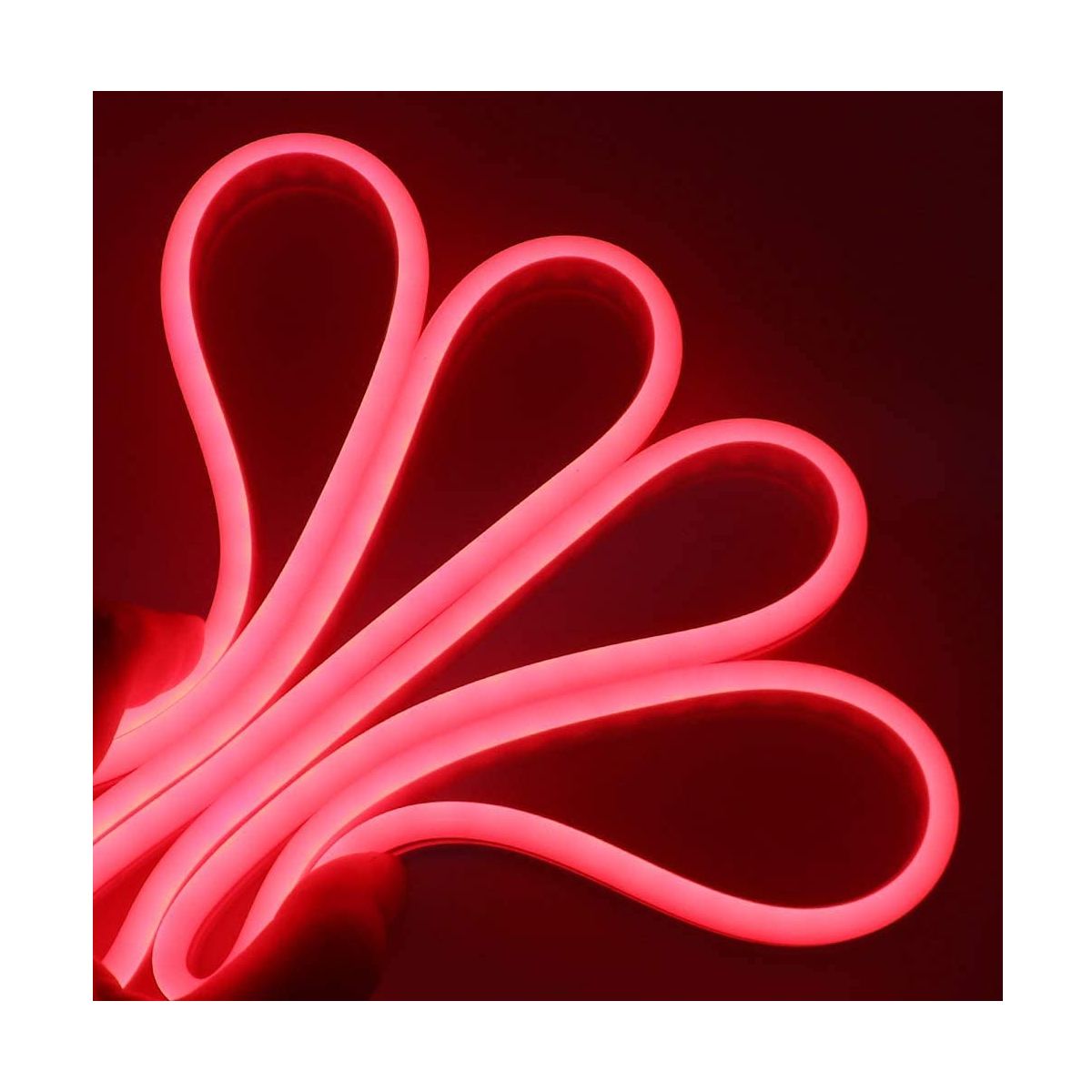 Tira Flexible Neon LED 5 Metros Incluye Eliminador de Corriente Roja