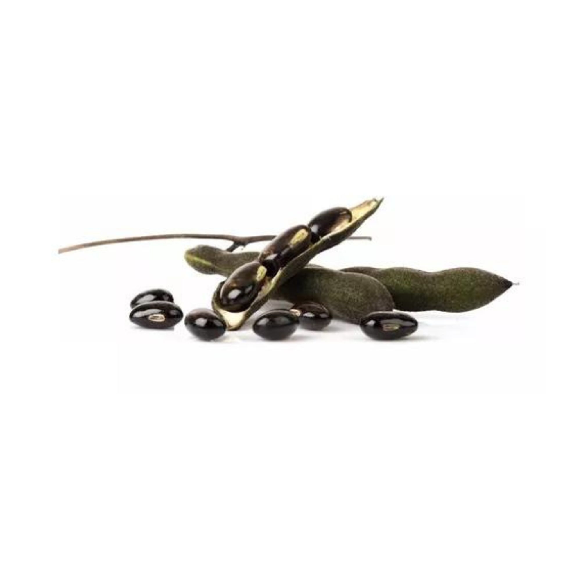 Mucuna Pruriens Adaptógeno 50g Commons Polvo 100% Orgánico