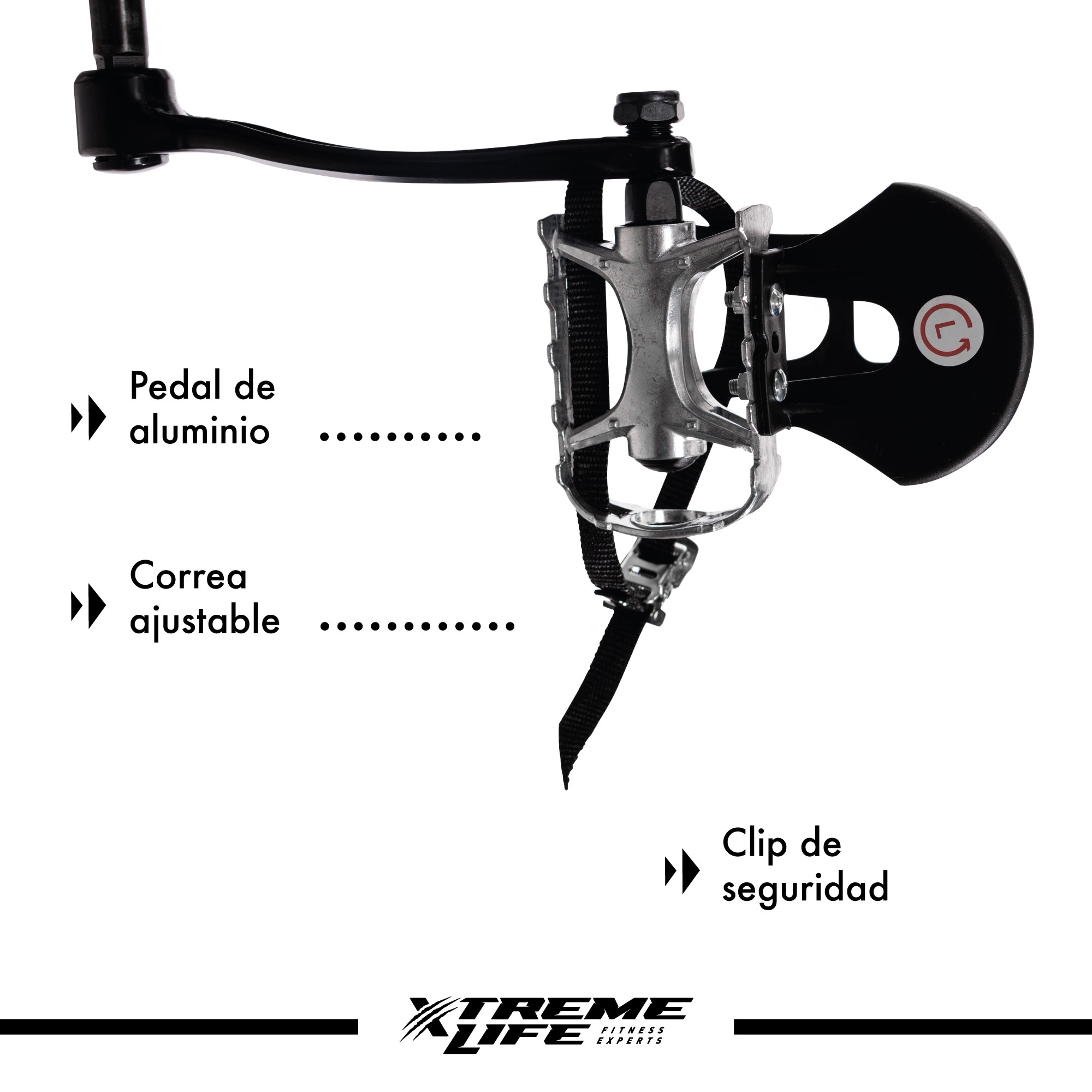 Bicicleta Spinning Fija 20 Kilos Profesional Cardio Indoor Negro
