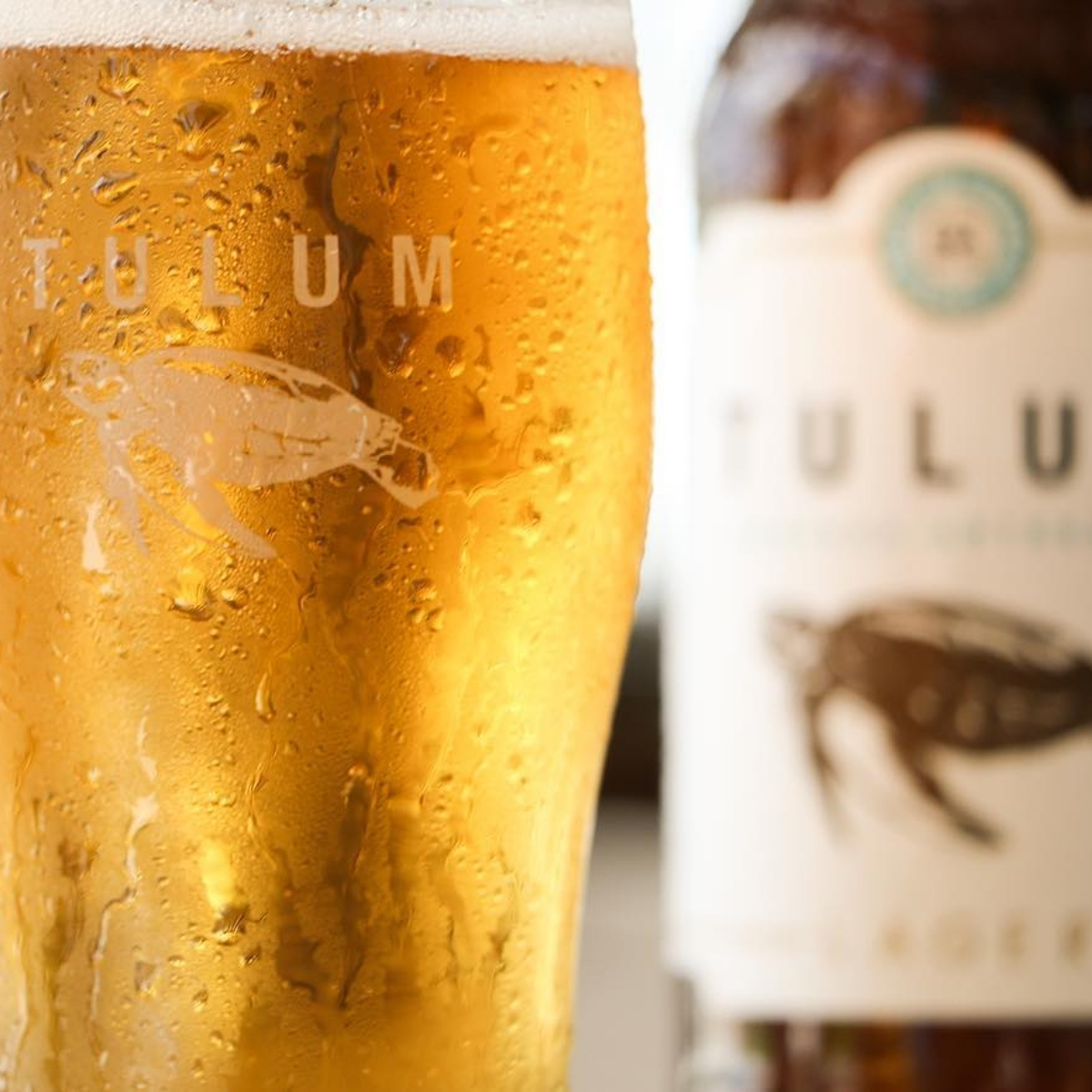 Cerveza Artesanal Lager Tulum 24 Botellas de 355 ml