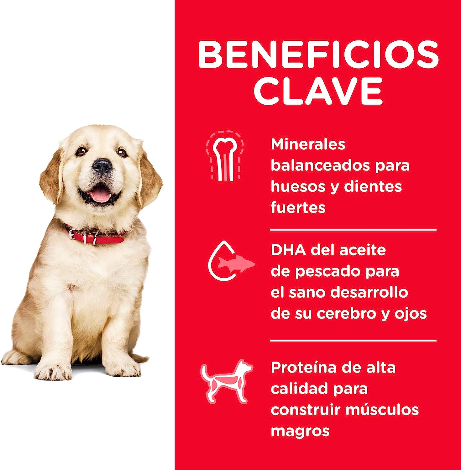 Alimento Para Perro Hill's Science Diet Puppy Large Breed Para Perro Cachorro de Raza Grande 7 kg
