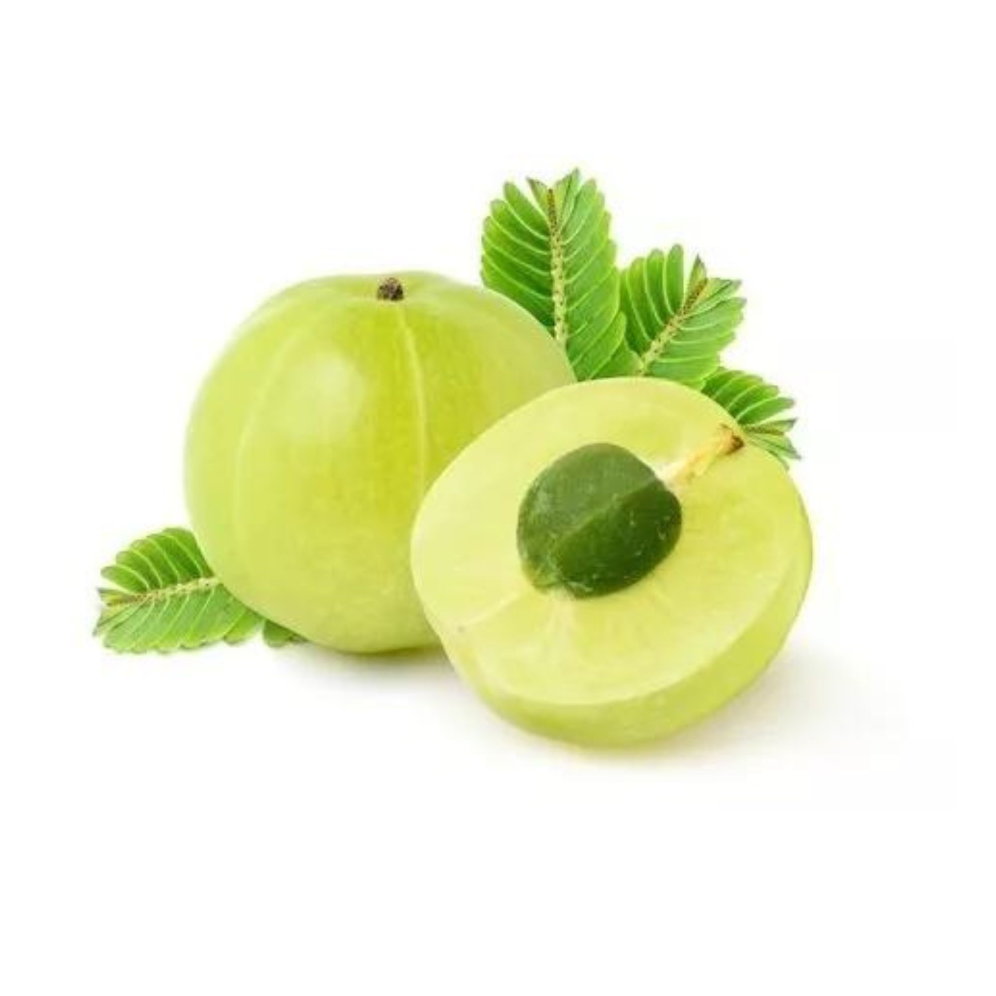 Amla Polvo Adaptógeno 50g Commons 100% Orgánico 