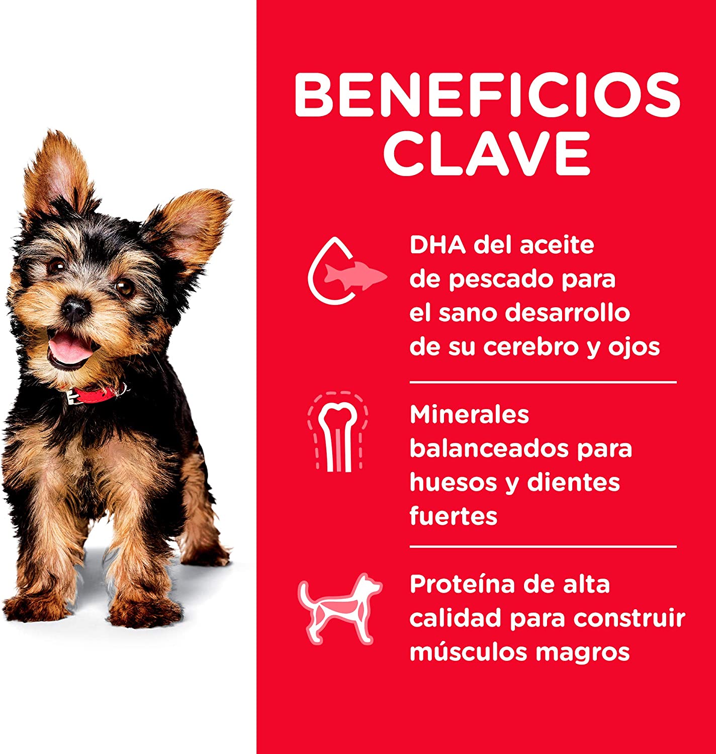 Alimento Para Perro Hill's Science Diet Small Paws Seco 9095 Para Razas Mini Y Pequeña 7.03KG