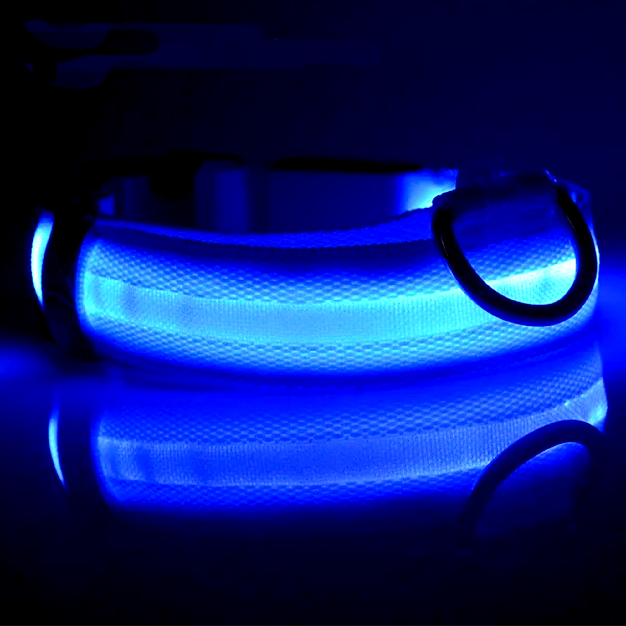 Collar para perro y gato de led luz cosas perro 