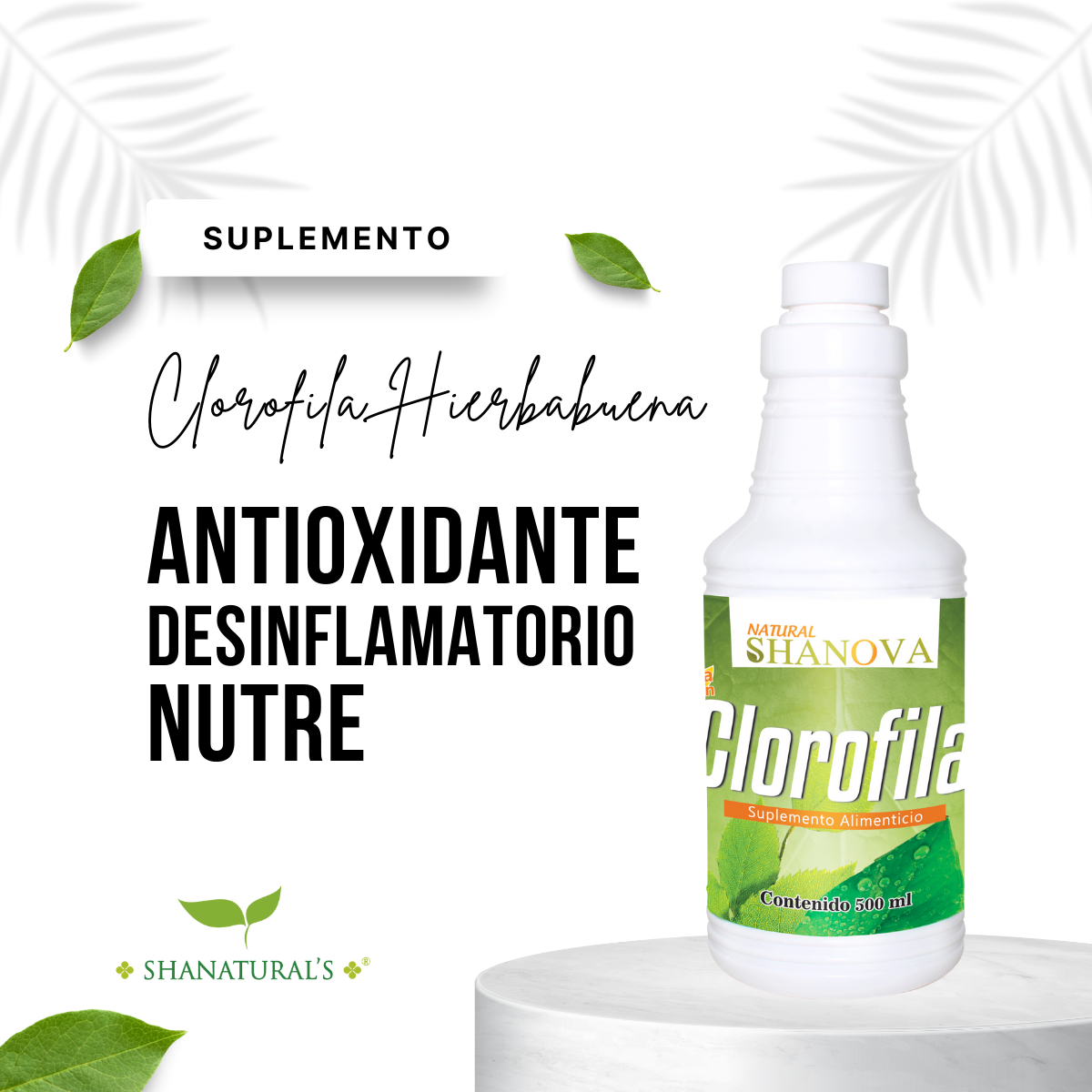 Clorofila Hierbabuena 500 ml Shanova