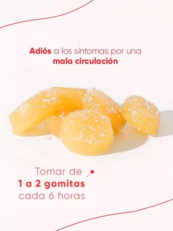 Gomitas Circulación Activa Bryophyllum+hamamelis+bambusa60pz