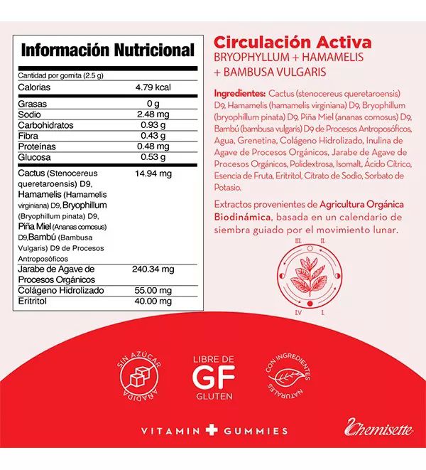 Gomitas Circulación Activa Bryophyllum+hamamelis+bambusa60pz