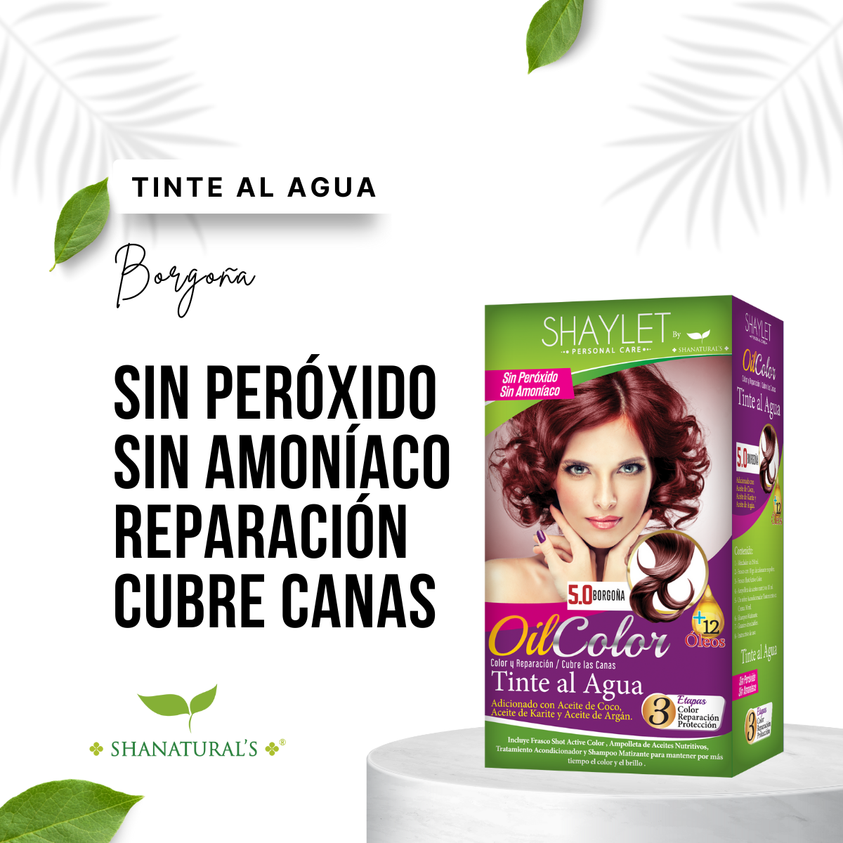 Tinte 5.0 Borgoña Shaylet