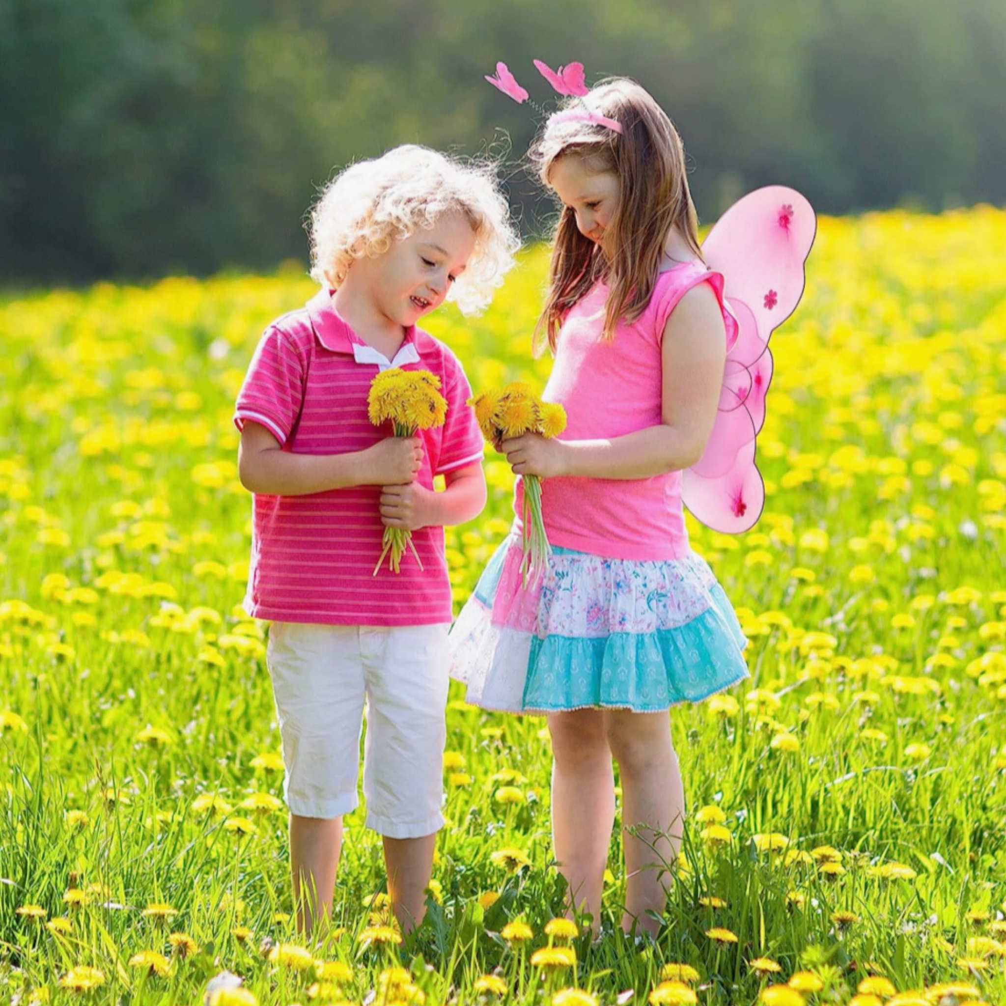 Disfraz Alas De Mariposa Niña Varios Colores Primavera