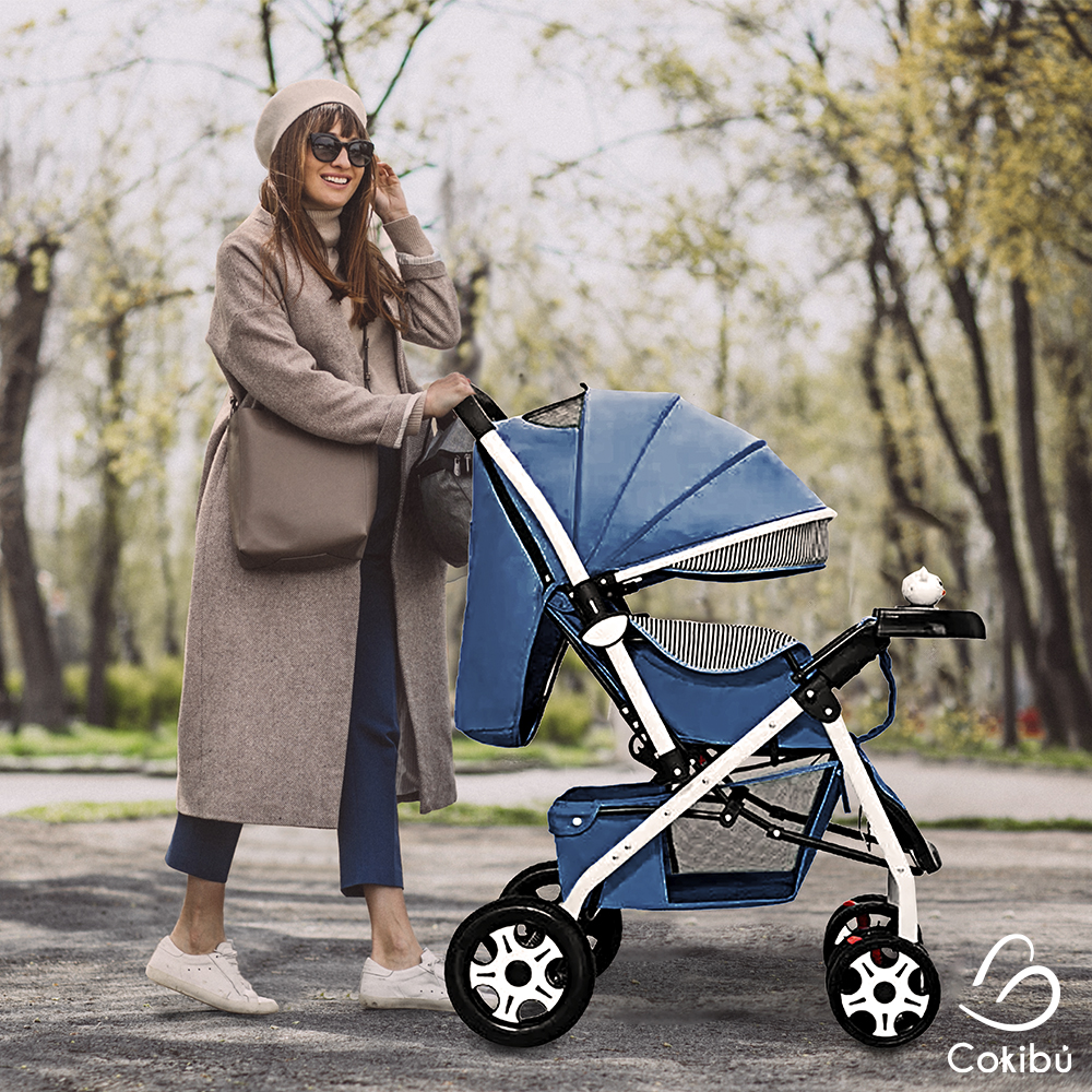 CARRIOLA DE BEBÉ PLEGABLE AZUL.