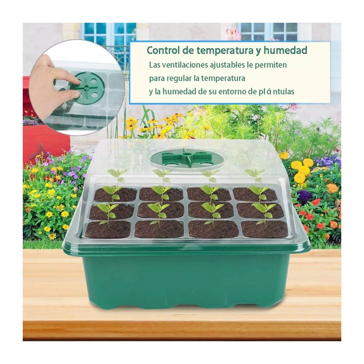 Charolas Germinadoras Semillero Invernadero Tapa 10pz 