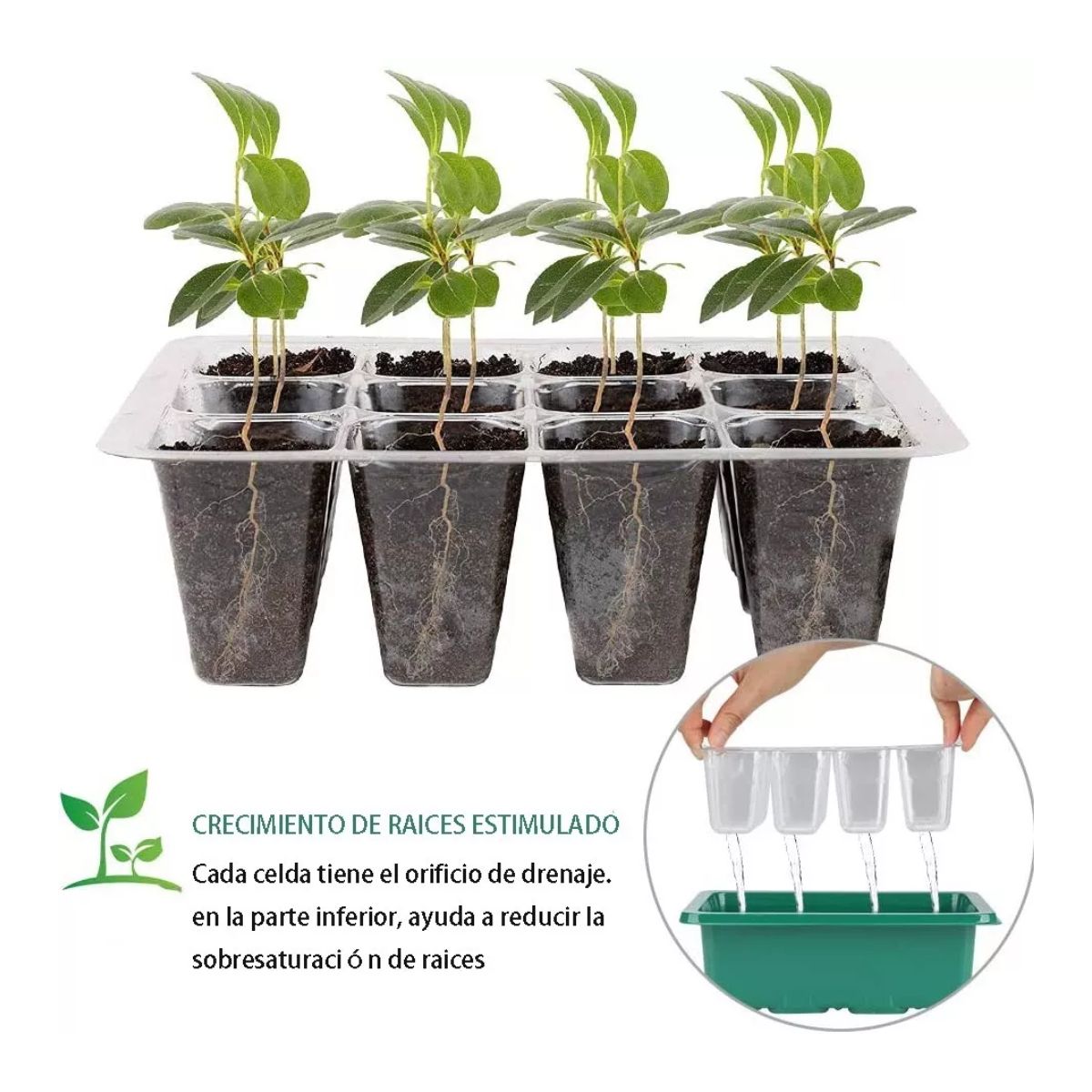 Charolas Germinadoras Semillero Invernadero Tapa 10pz 
