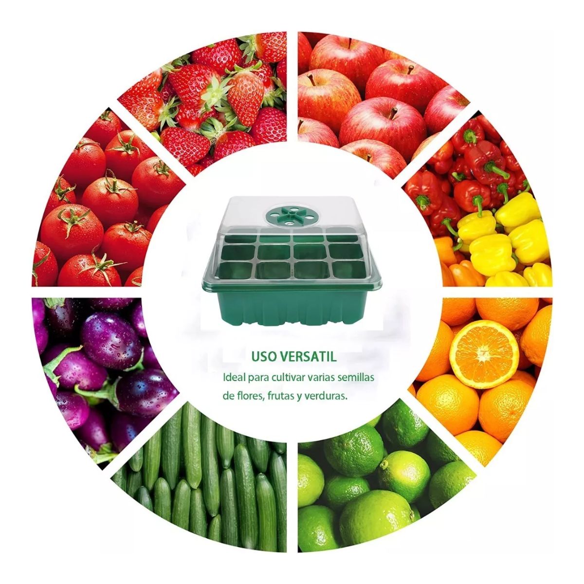 Charolas Germinadoras Semillero Invernadero Tapa 10pz 