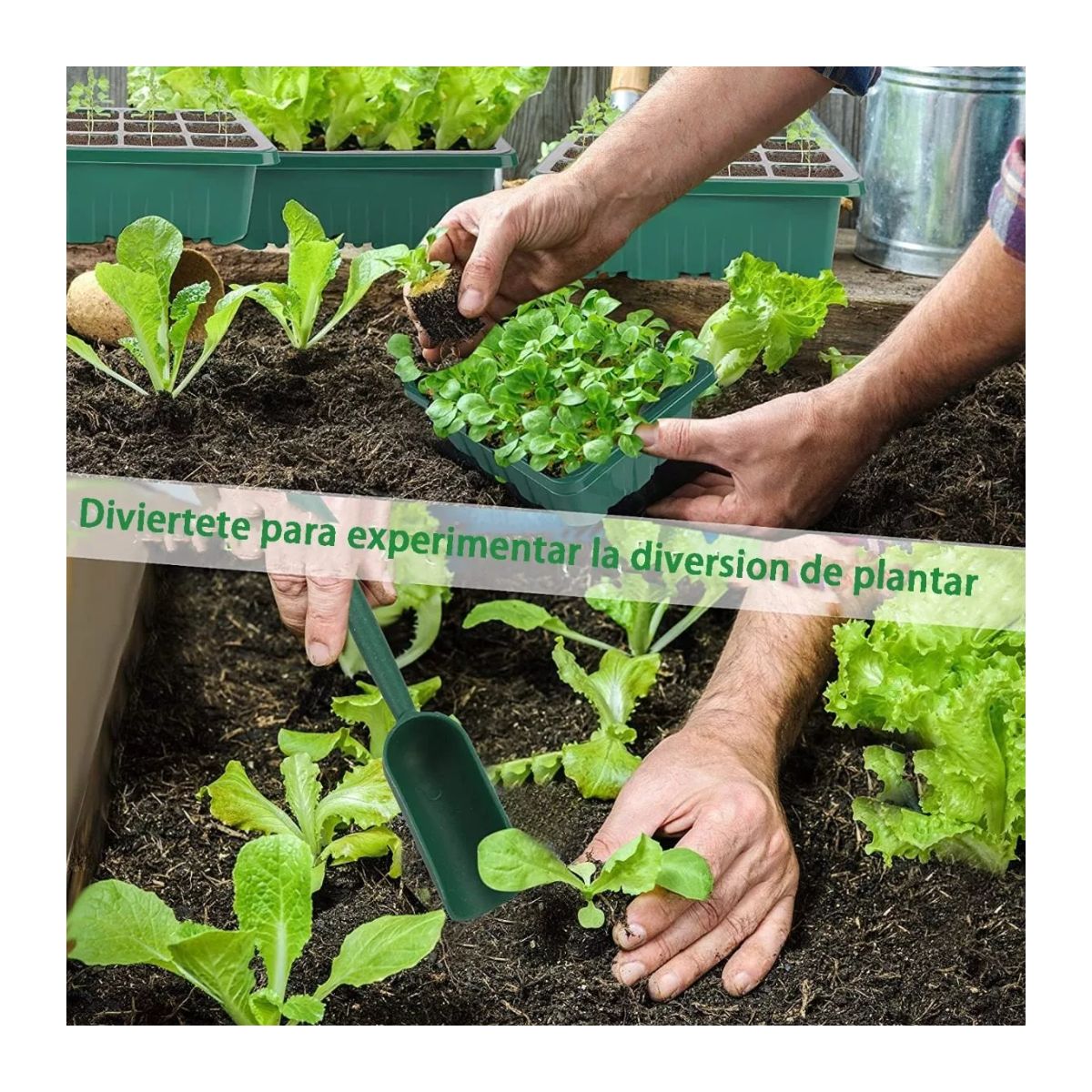 Charolas Germinadoras Semillero Invernadero Tapa 10pz 