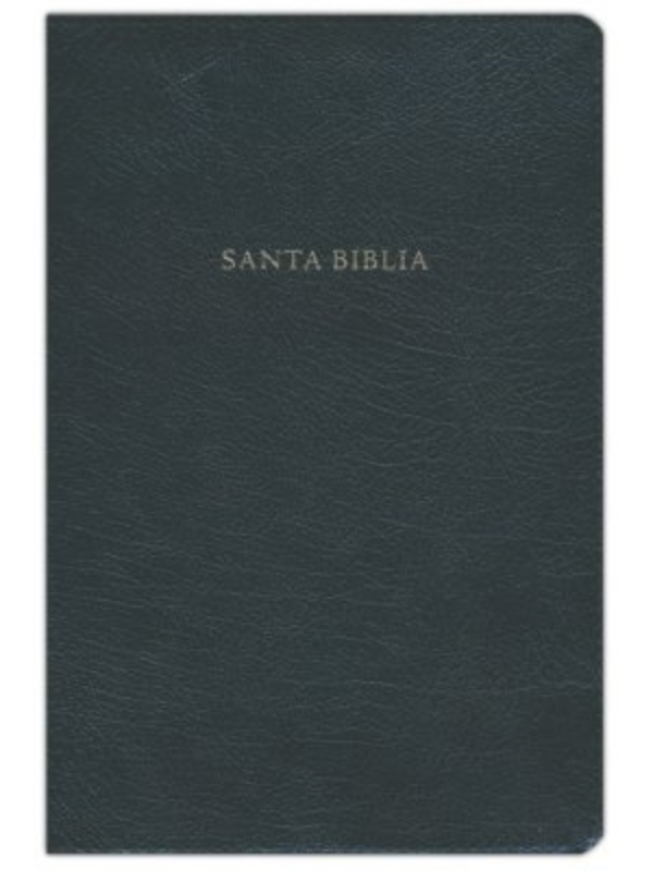Biblia De Estudio Scofield Rvr 1960, Piel Fabricada con Índice
