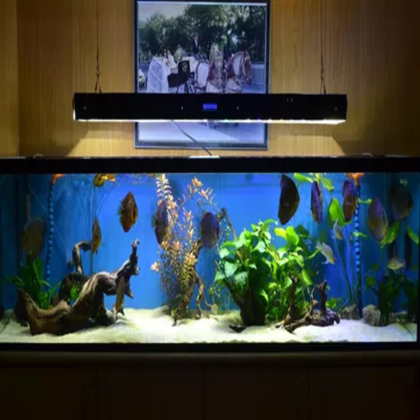 Pecera 2.50x40x 50 600 Litros Vidrio Acuario Marino O Dulce