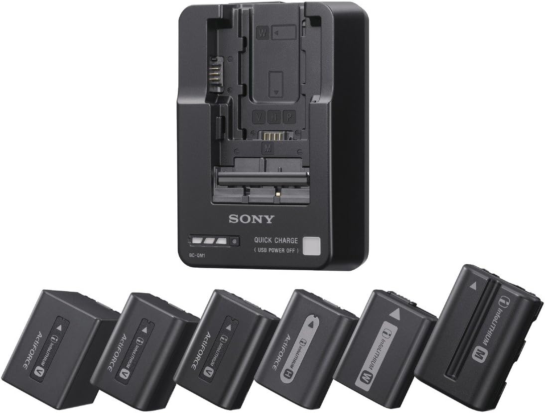 CARGADOR DE BATERIA BC-QM1 PARA SERIES V, W, M, H Y P