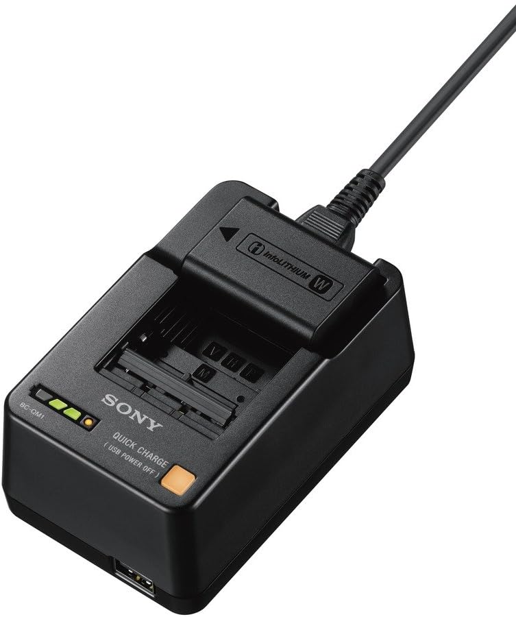 CARGADOR DE BATERIA BC-QM1 PARA SERIES V, W, M, H Y P