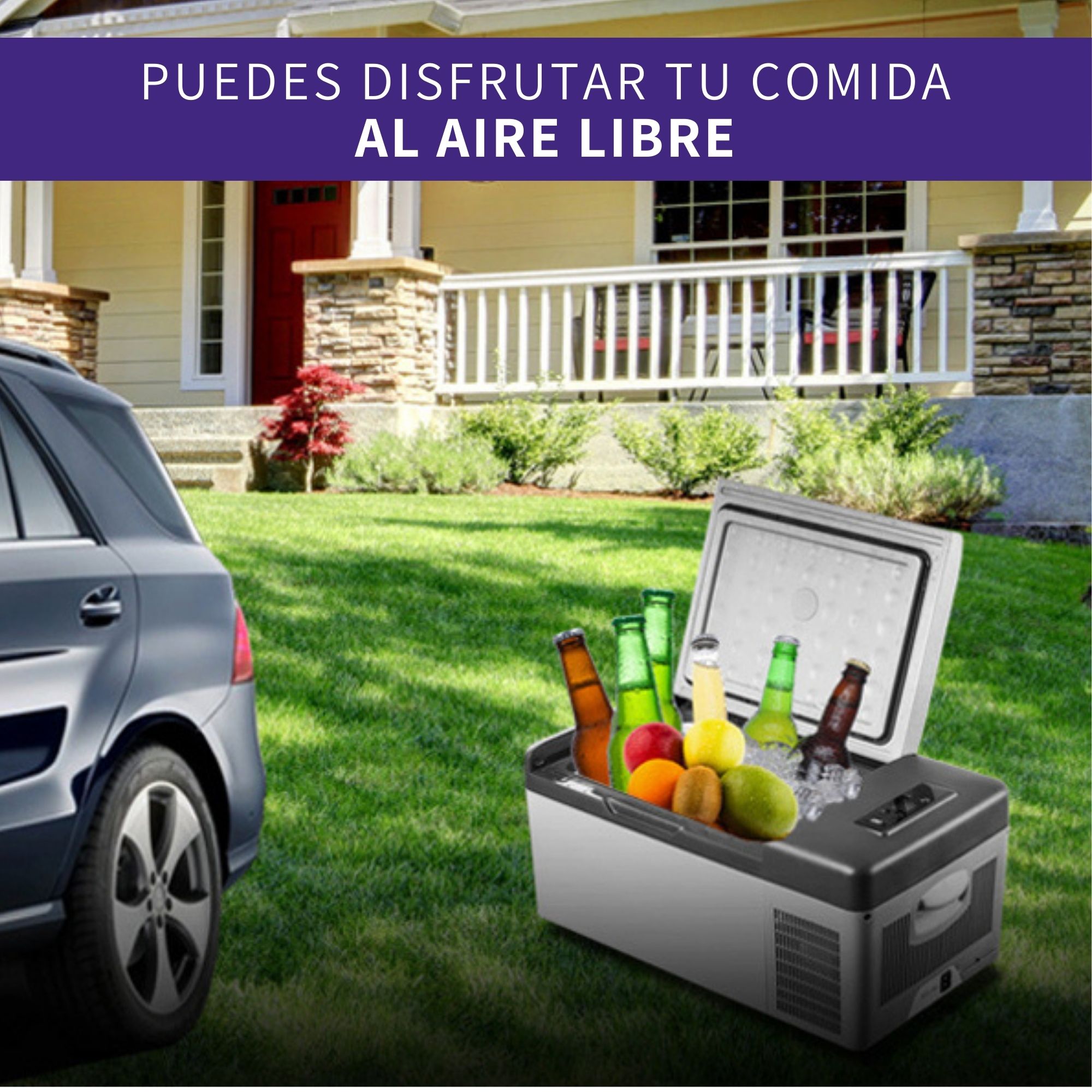 Nevera Portatil Mini Refrigerador De Coche Digital Insulina