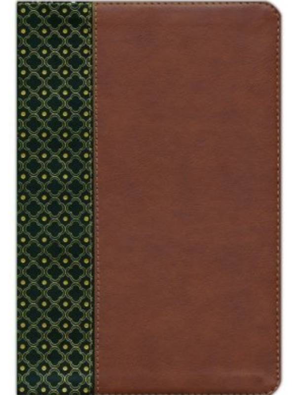 Biblia De Estudio Scofield Rvr 1960, Piel Simil Verde/cafe