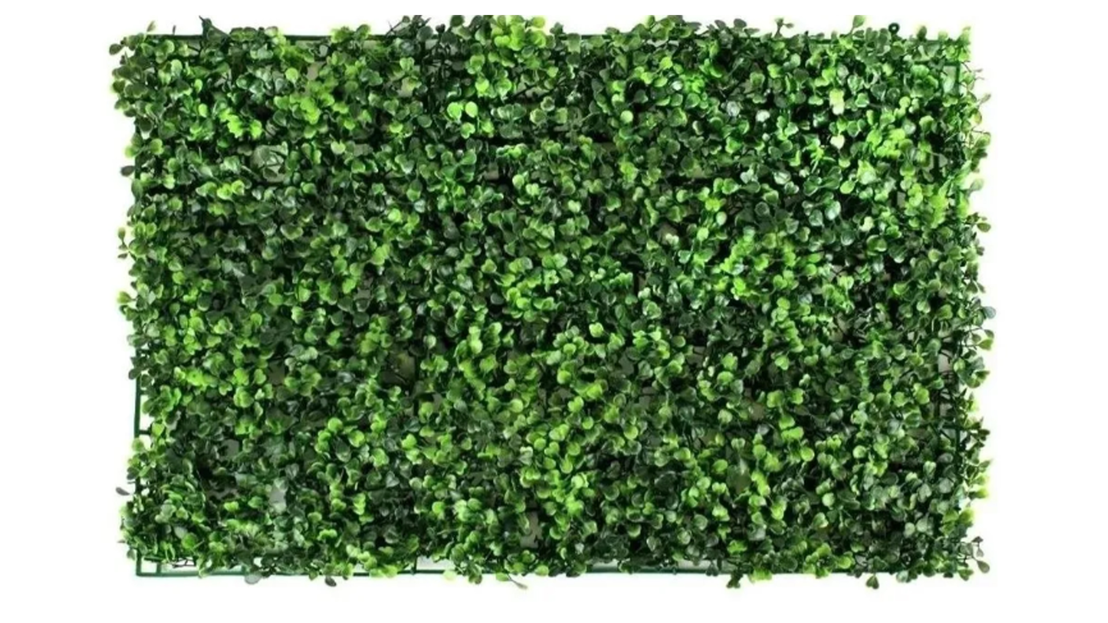 100 Pzs Follaje Artificial Sintetico Para Muro Verde 60x40cm Compraymas