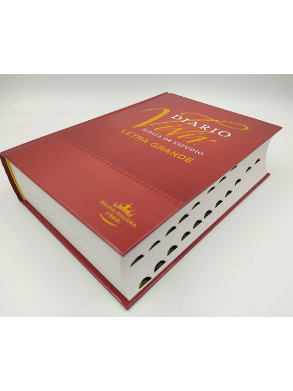 Biblia Rv1960 Estudio Del Diario Vivir Tapa Dura Con Índice Letra Grande