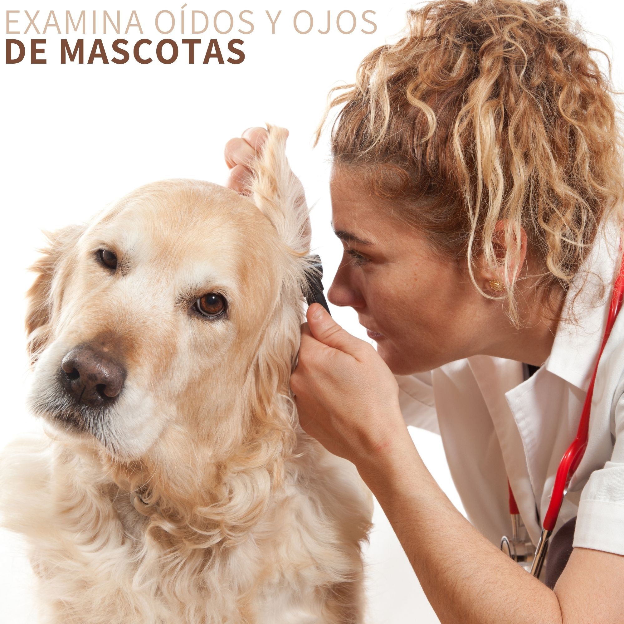 Estuche Medico Otoscopio Oftalmoscopio Luz Led Y Accesorios