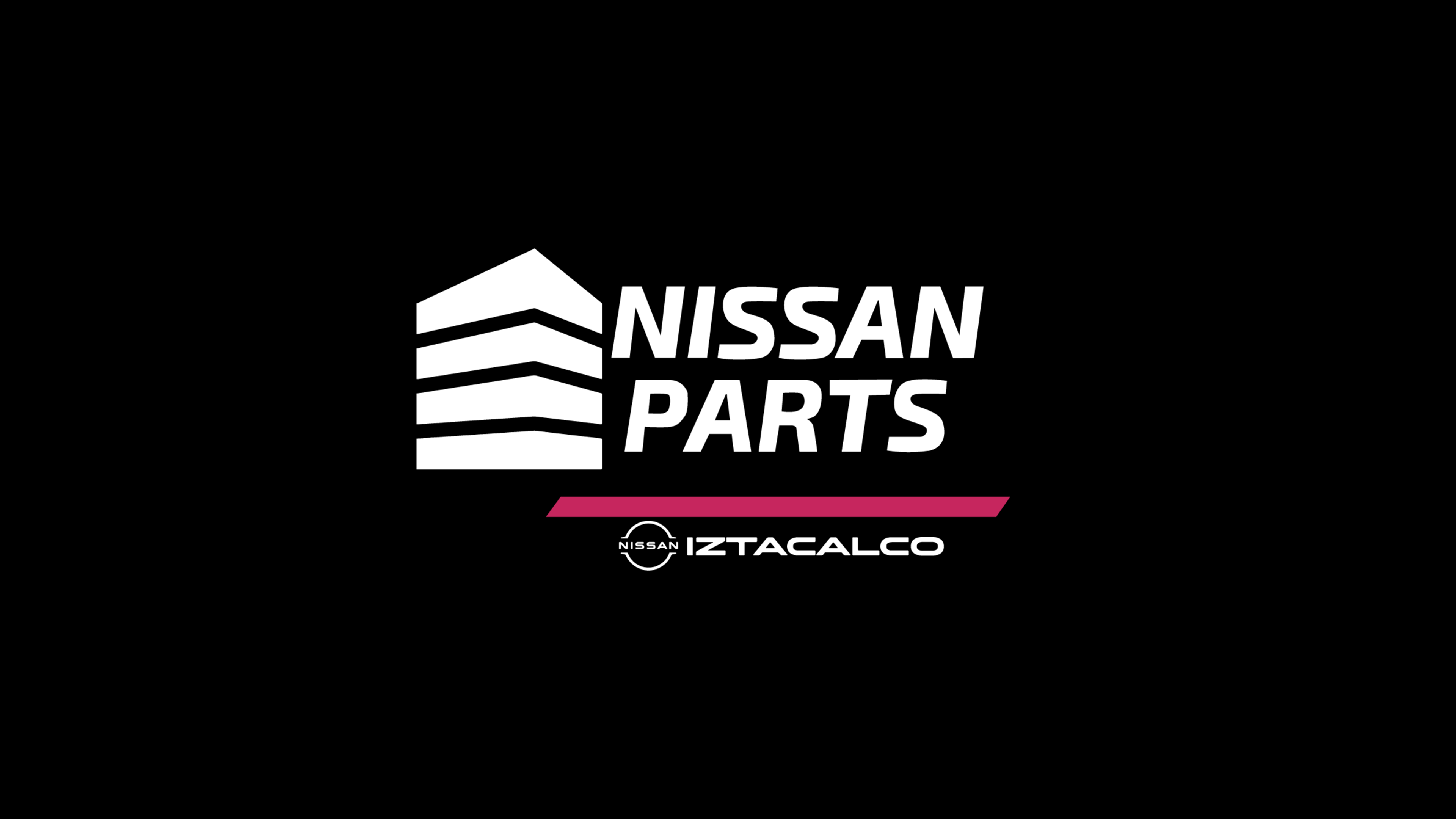 Barra Torsion Original Nissan
