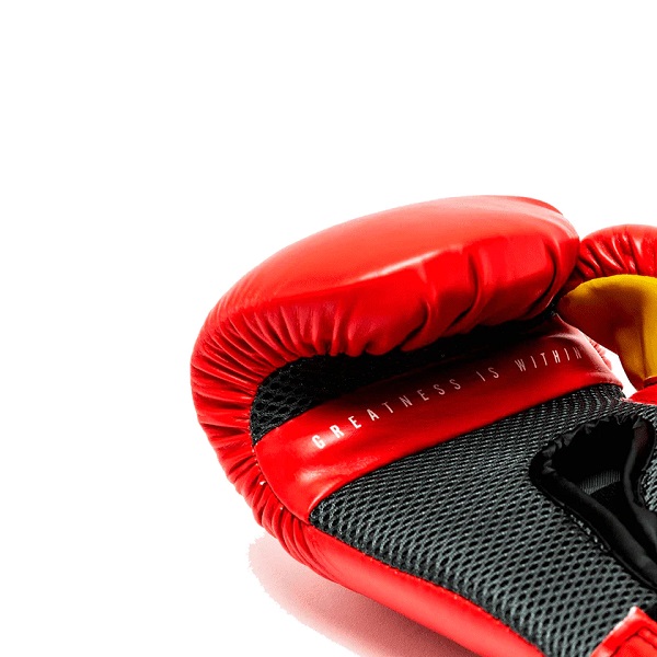 Hayabusa Guantes de boxeo T3 de 16 onzas, desodorante de guantes