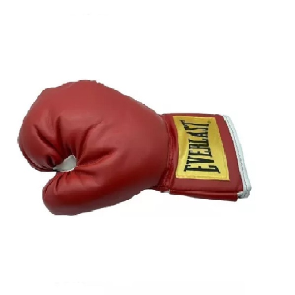 Guante EVERLAST  de 12oz 