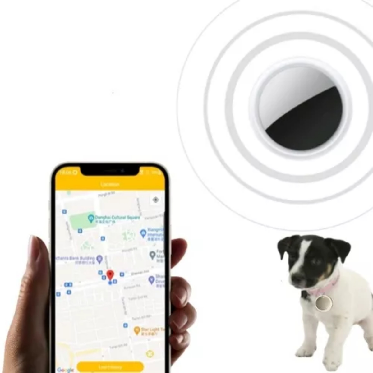 Rastreador De Mascotas Gps Placa De Identificación