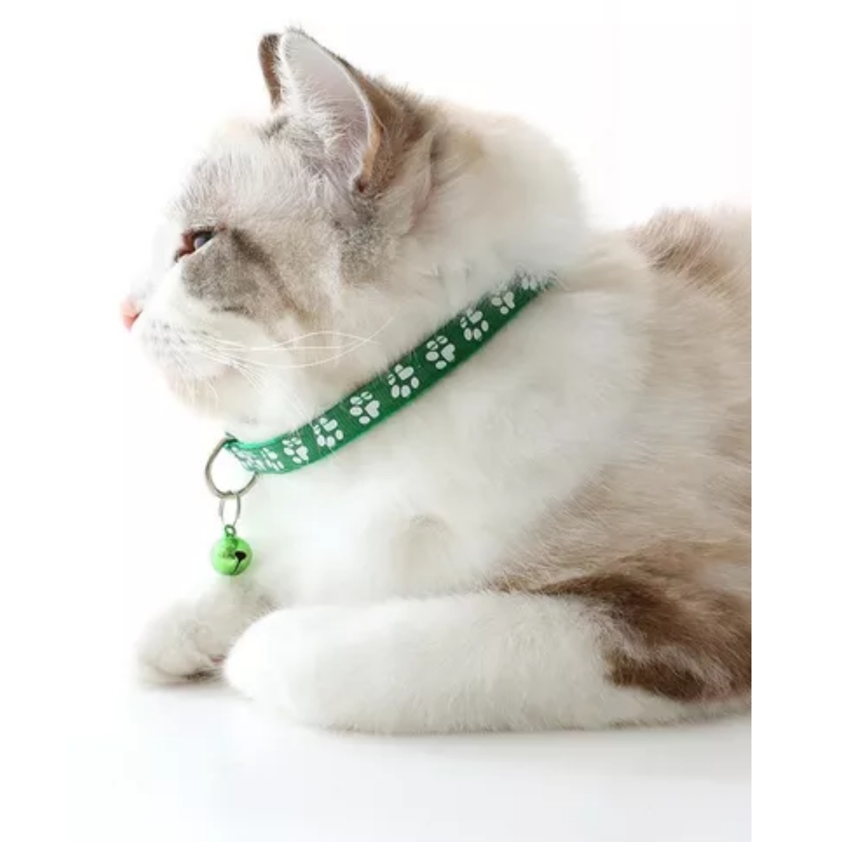 Petacc Collar De Mascota De Nylon Conjunto De Perro Reflexivo De Plomo