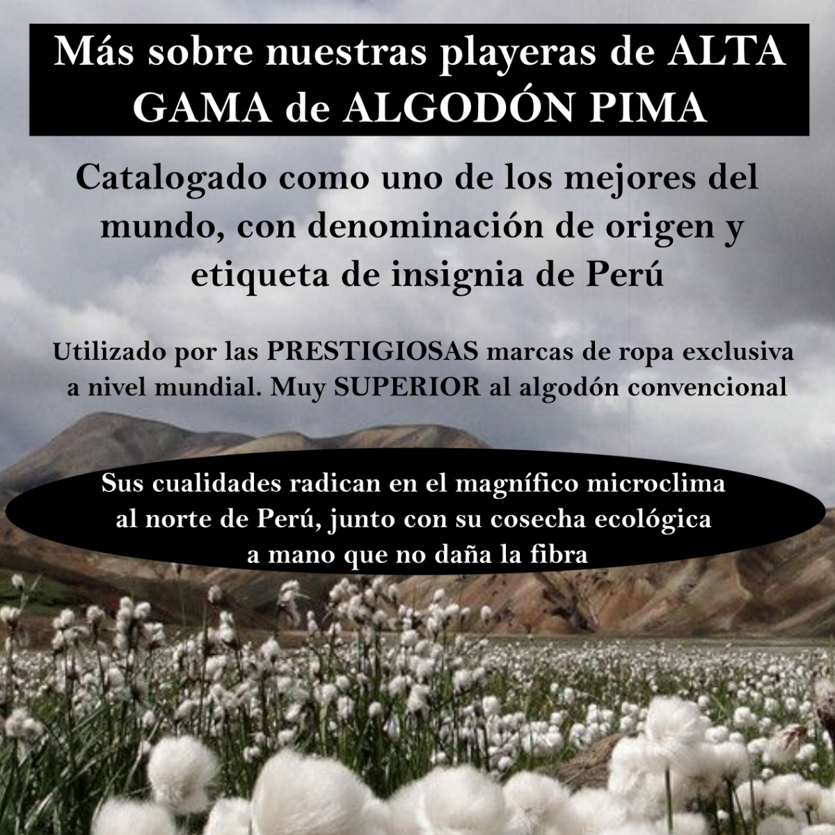 FINA Playera Hombre Alta gama Reg y Slim fit Beso ideal antro bar fiesta San Valentín