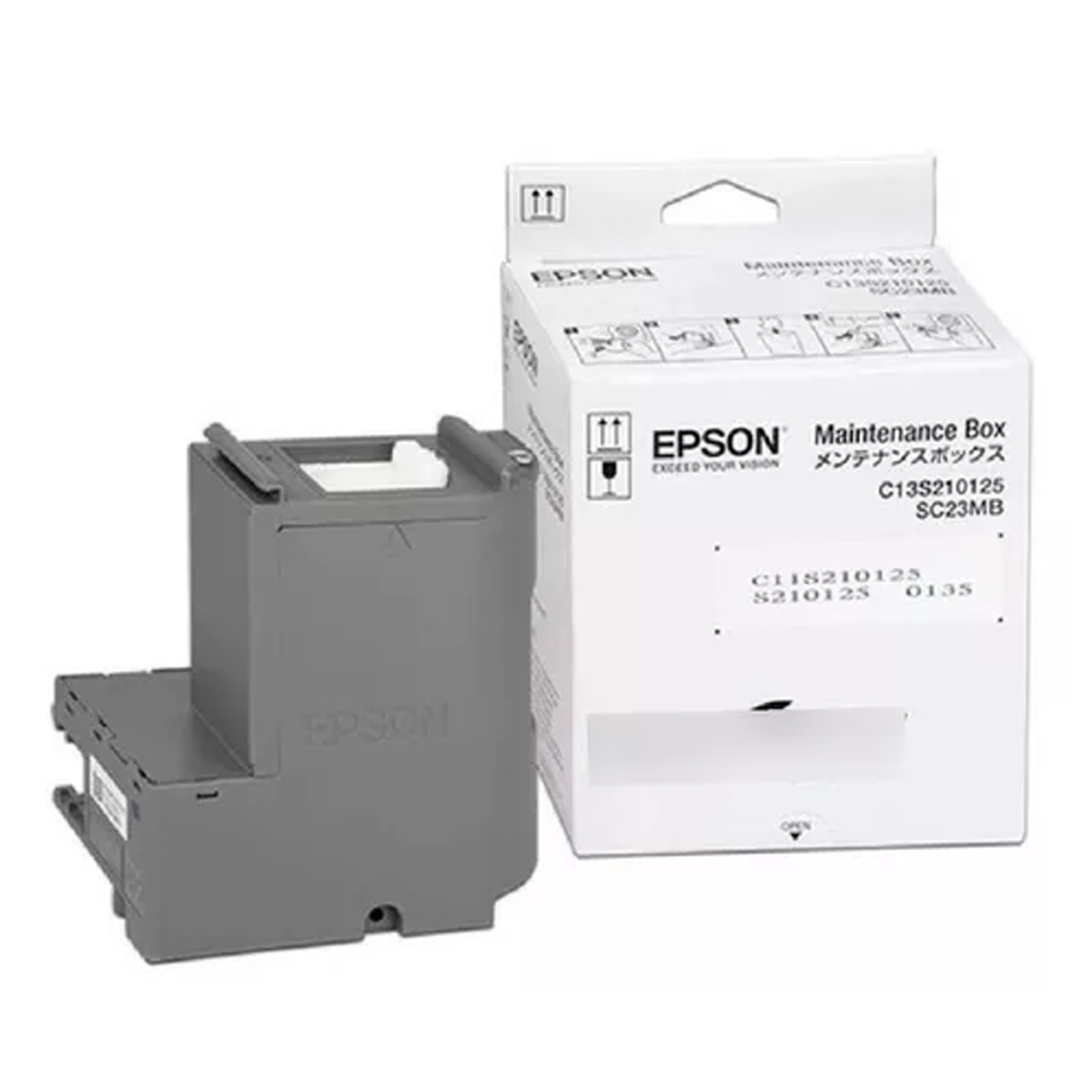 CAJA MANT. EPSON C13S210125 F170
