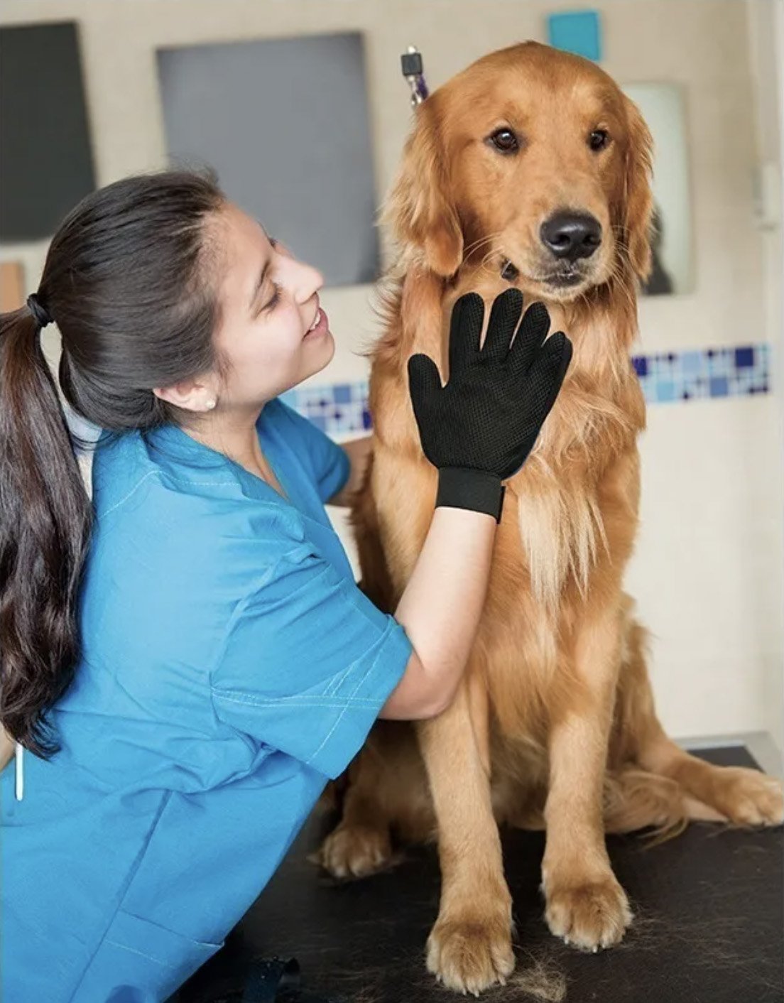 Guante Para Mascotas Perros y Gatos - No Más Pelos! Quita Los Pelos Más Fácil - Original Bluetouch