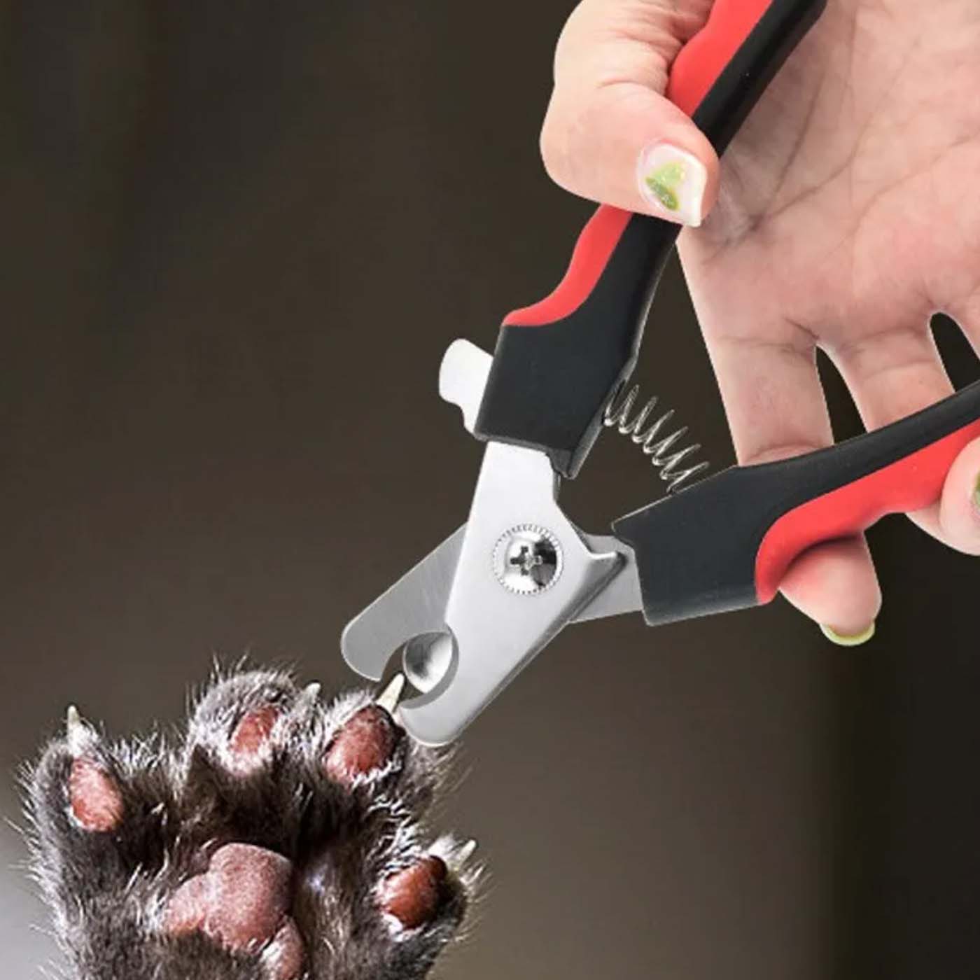 Corta Uñas Para Mascota Perro y Gato Cortauñas Sin Lastimarlo y Fácilmente