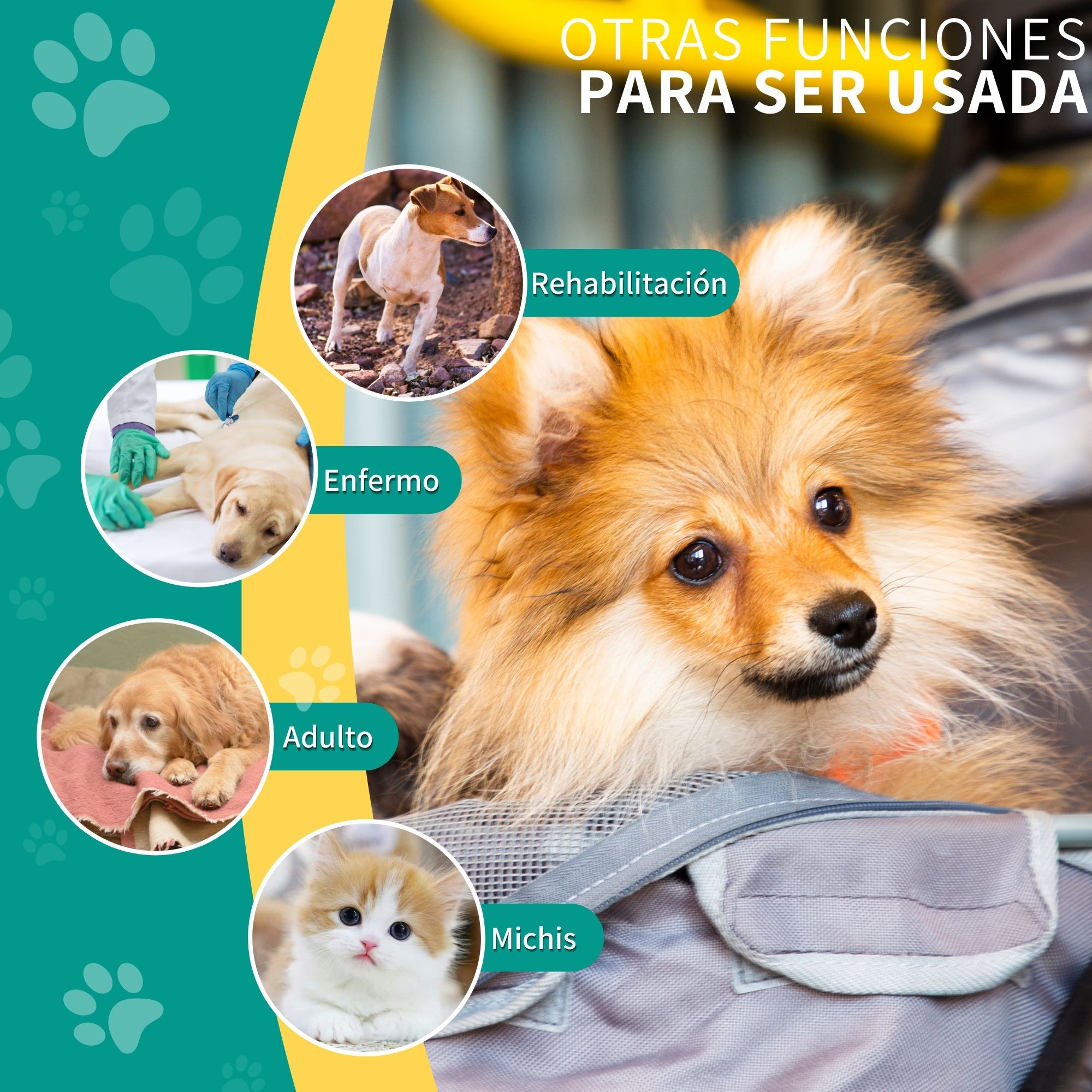 Carriola Plegable Para Perro Gato Mascotas Transportadora 