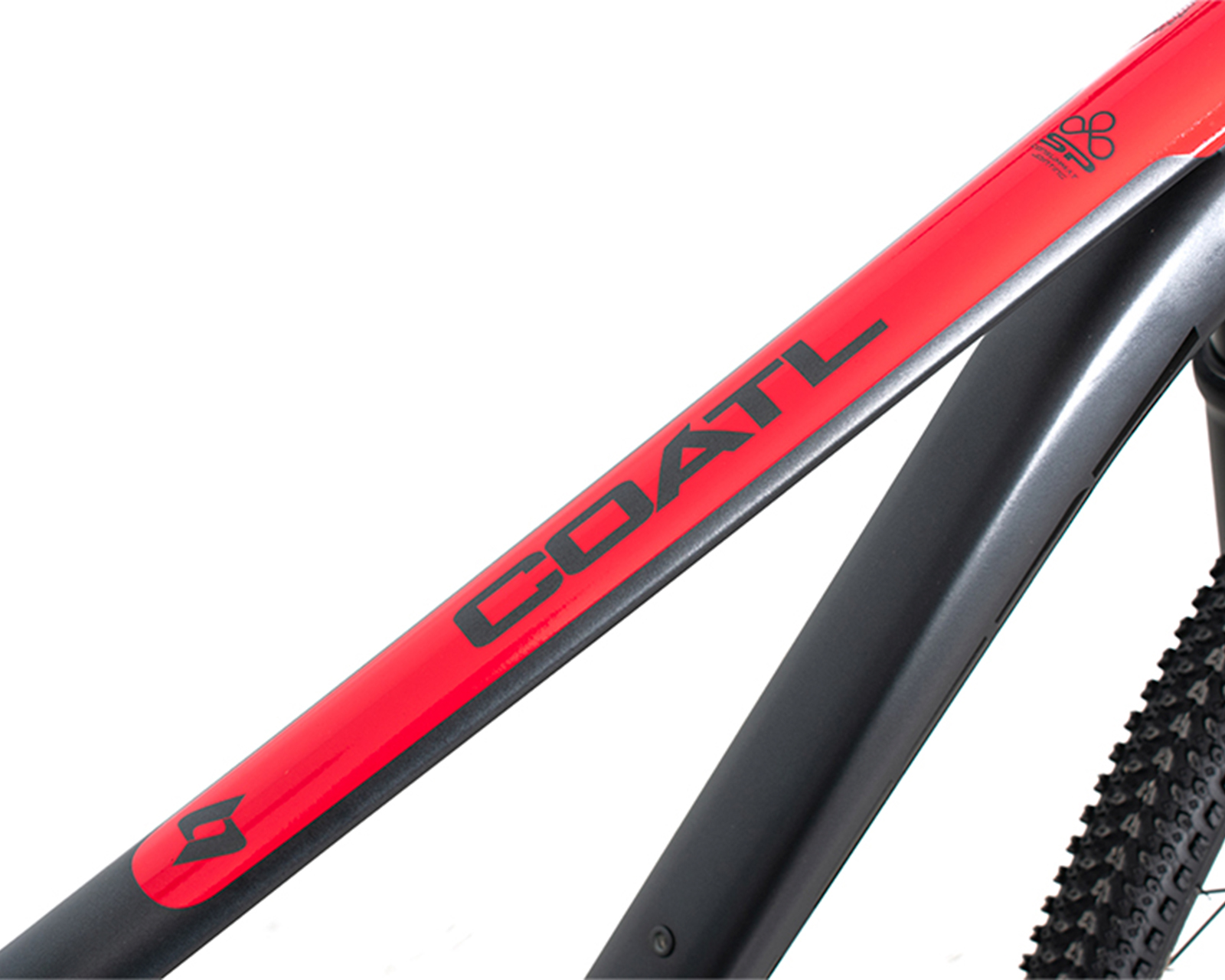 Bicicleta Belfort Coatl Rabe R29 T19 Negro Belfort 2024.