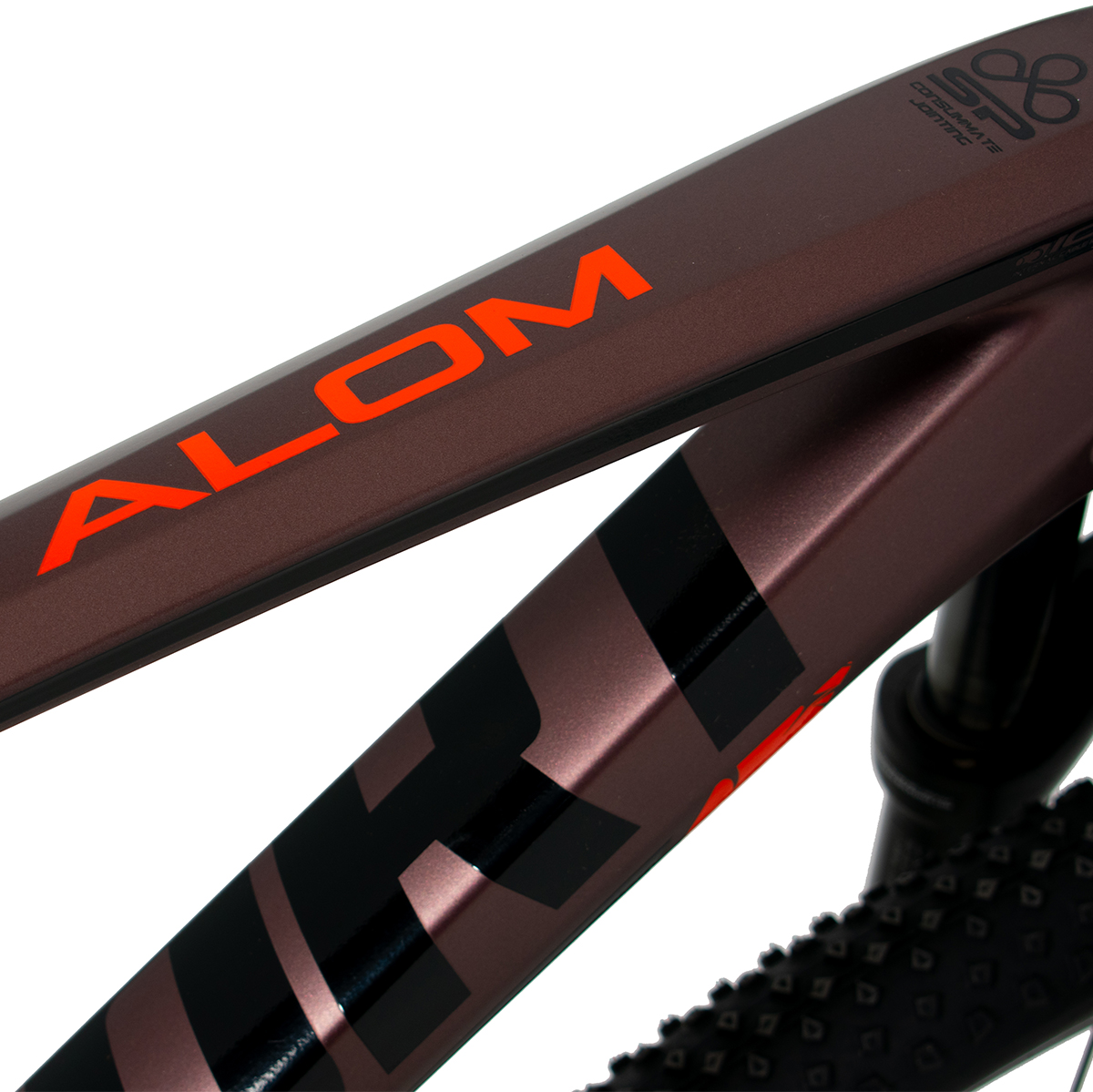 Bicicleta Belfort Alom Judy R29 T19 Cobre Naranja 2024.