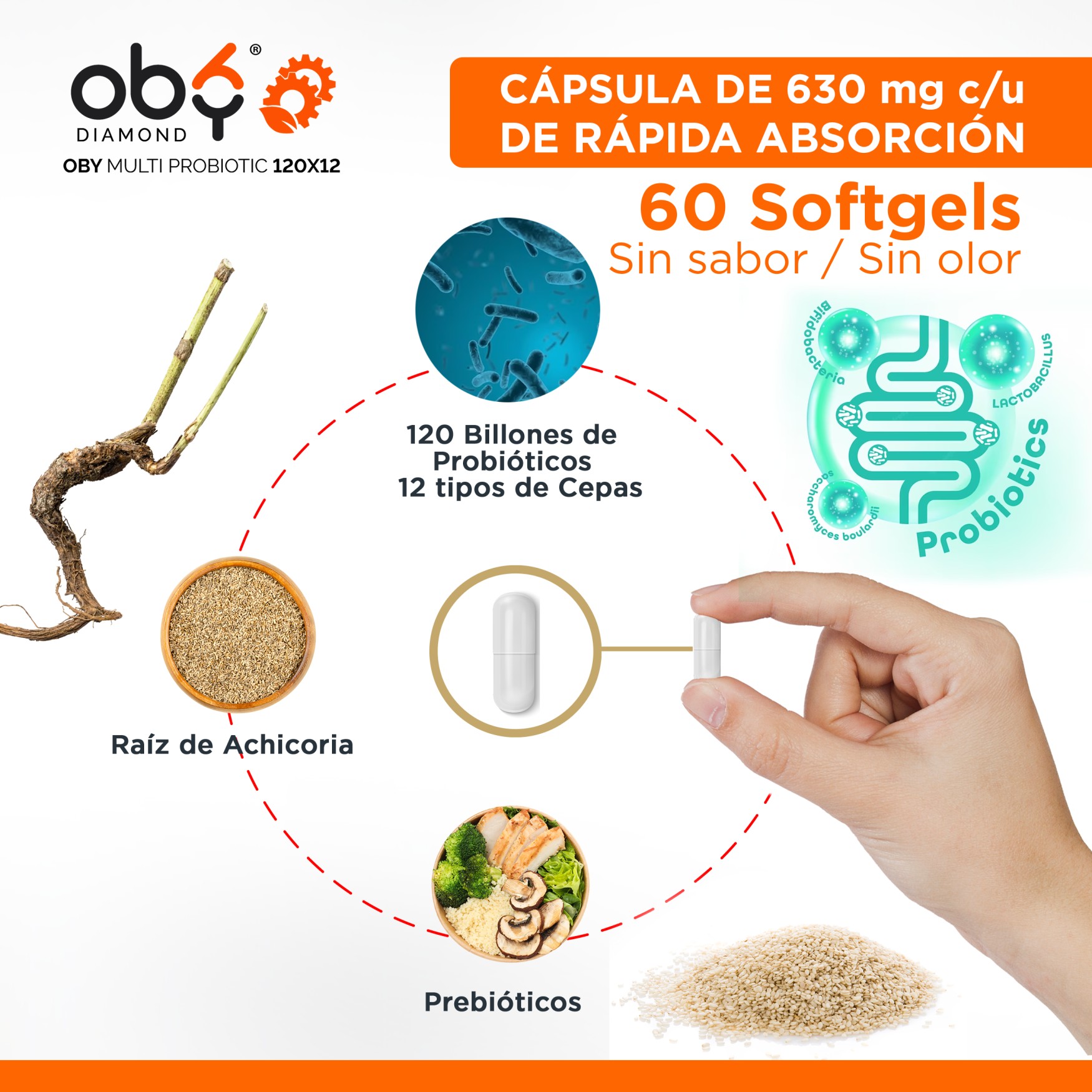 OBY MULTI Probiotics | Probioticos 120 Billones de 12 Cepas + Prebioticos - Incluye Inulina Raiz de Achicoria | 60 cápsulas - Probioticos Mujer y Hombre